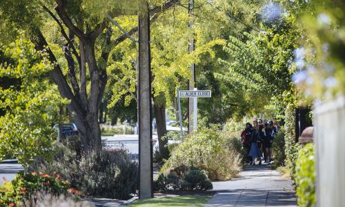 Carbon Neutral Adelaide:  A prescription for health