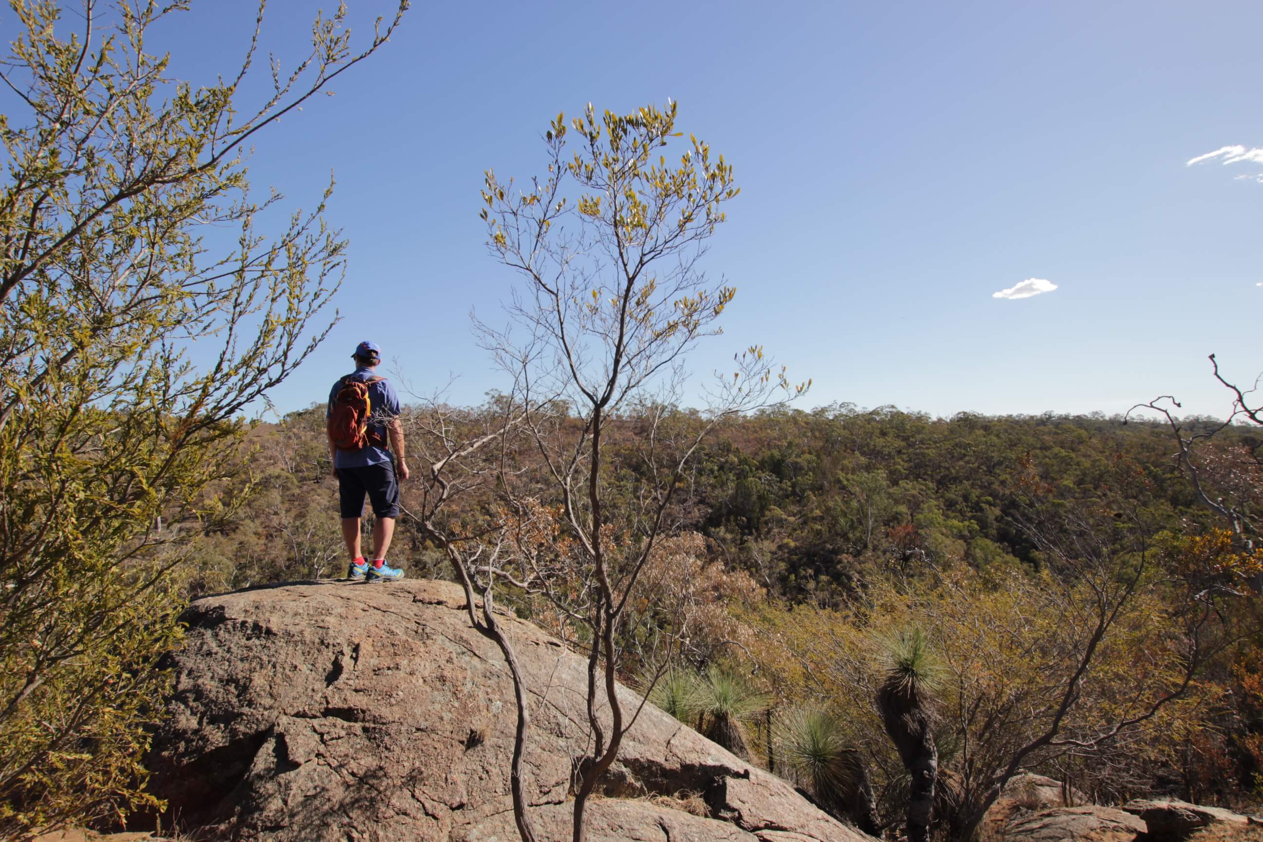 5 treasures of Para Wirra Conservation Park