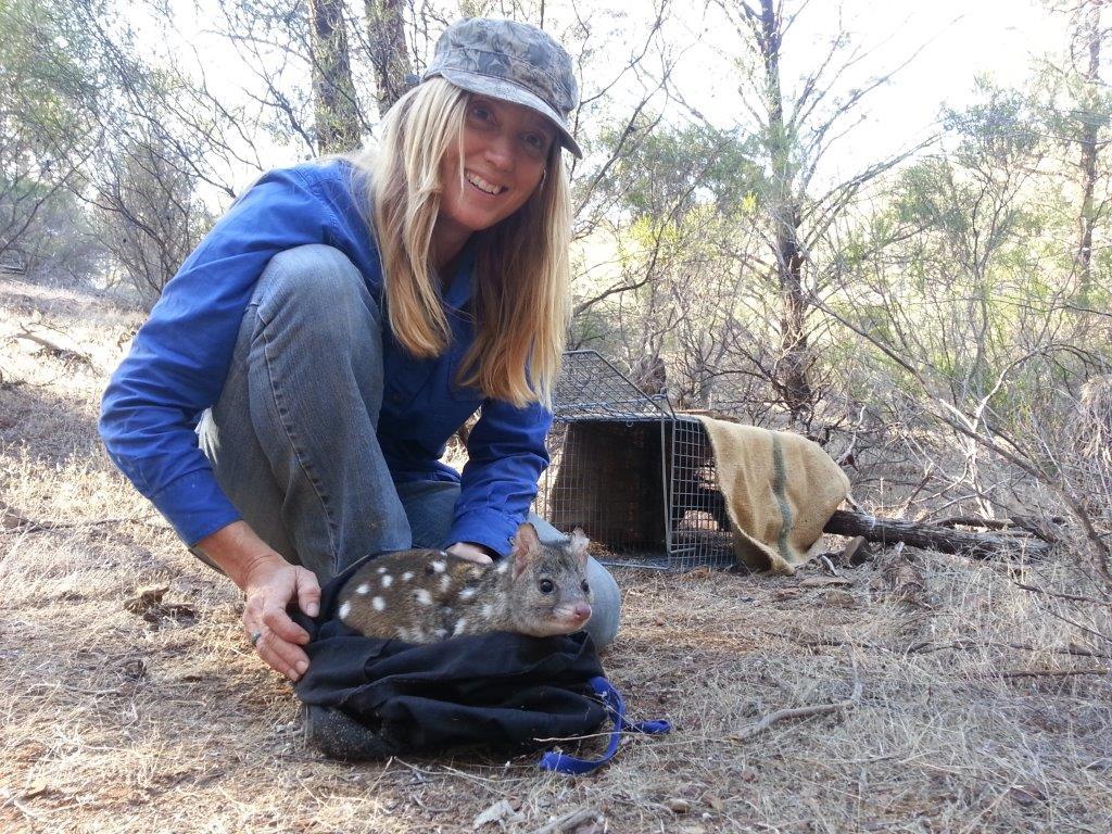 Dr Katherine Moseby with a quoll (Image courtesy of Sonya Medhurst)