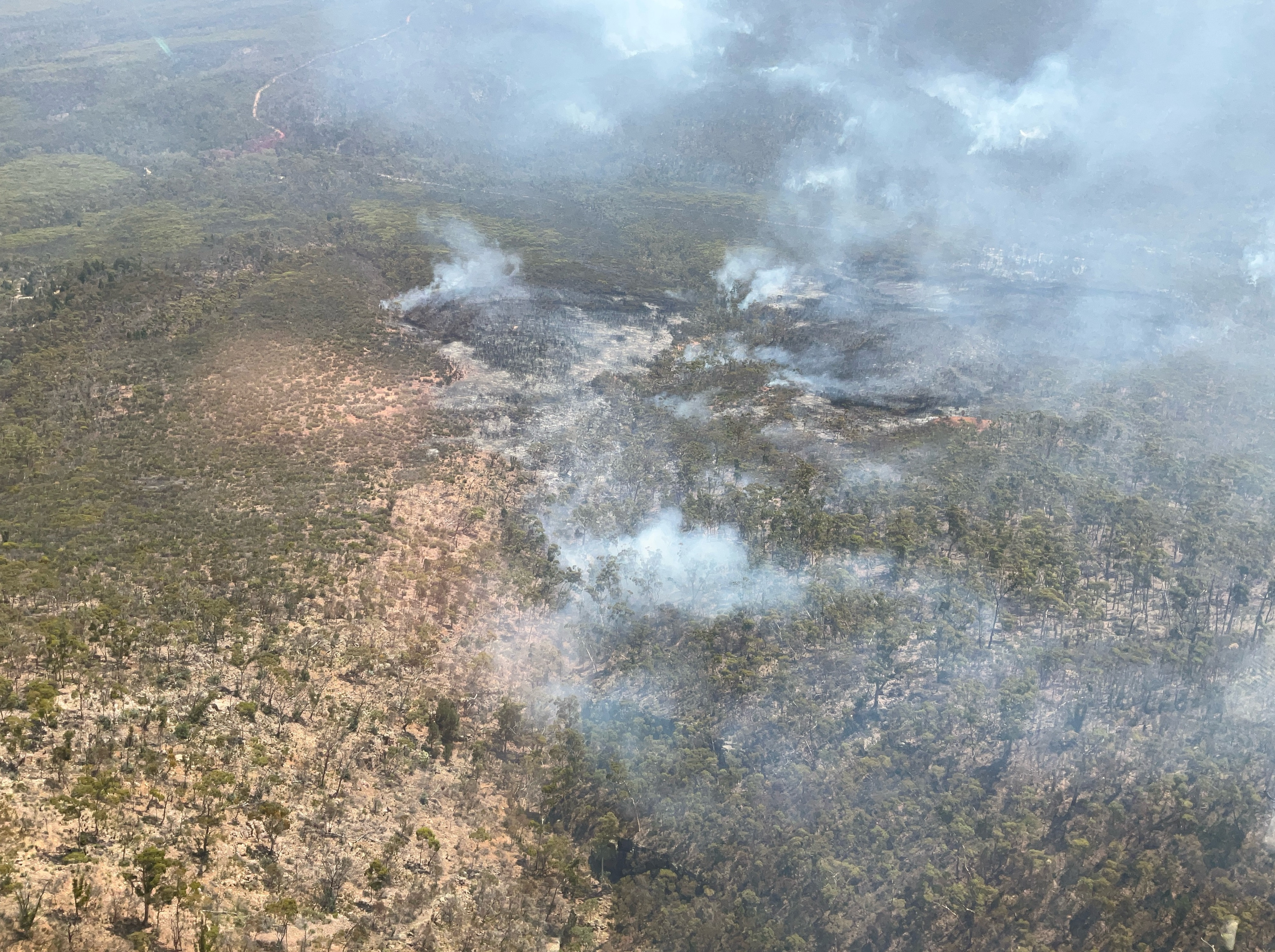 Aerial photo showing the effect of prescribed burning on the Wilmington fire. Image: DEW