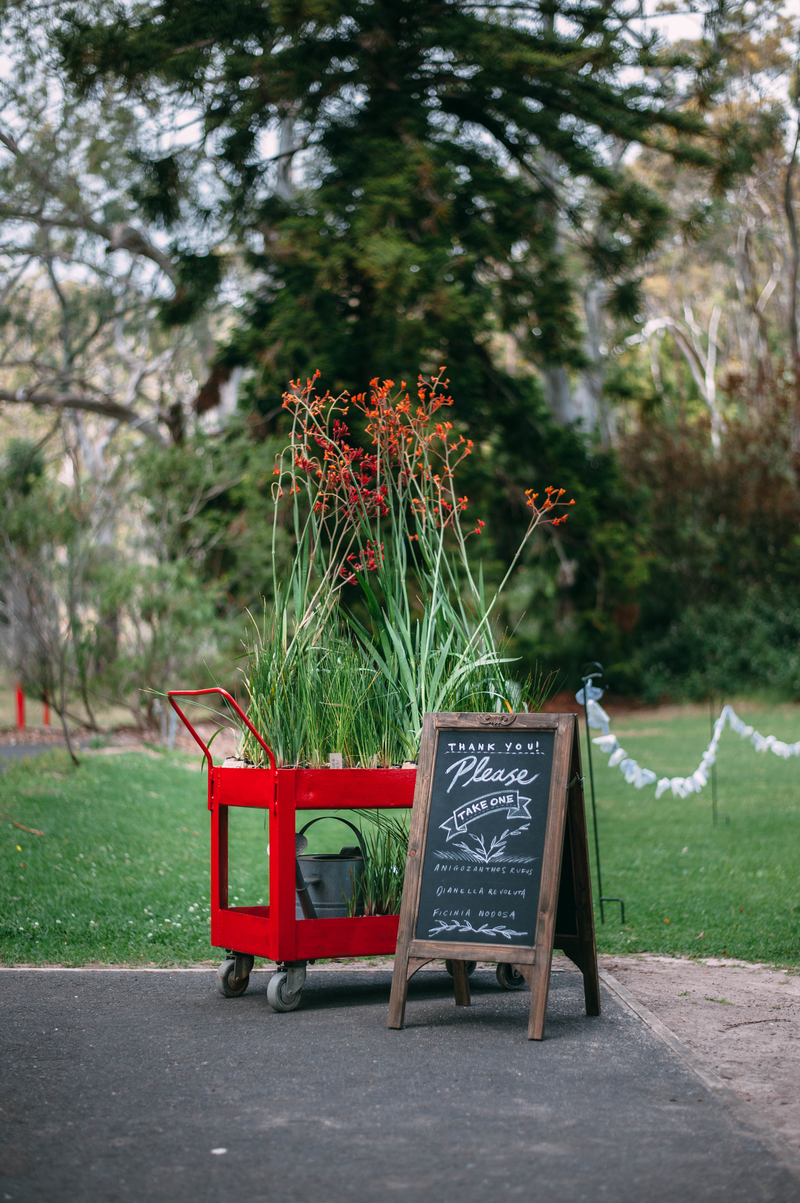 10 tips for getting married in one of South Australia’s national parks