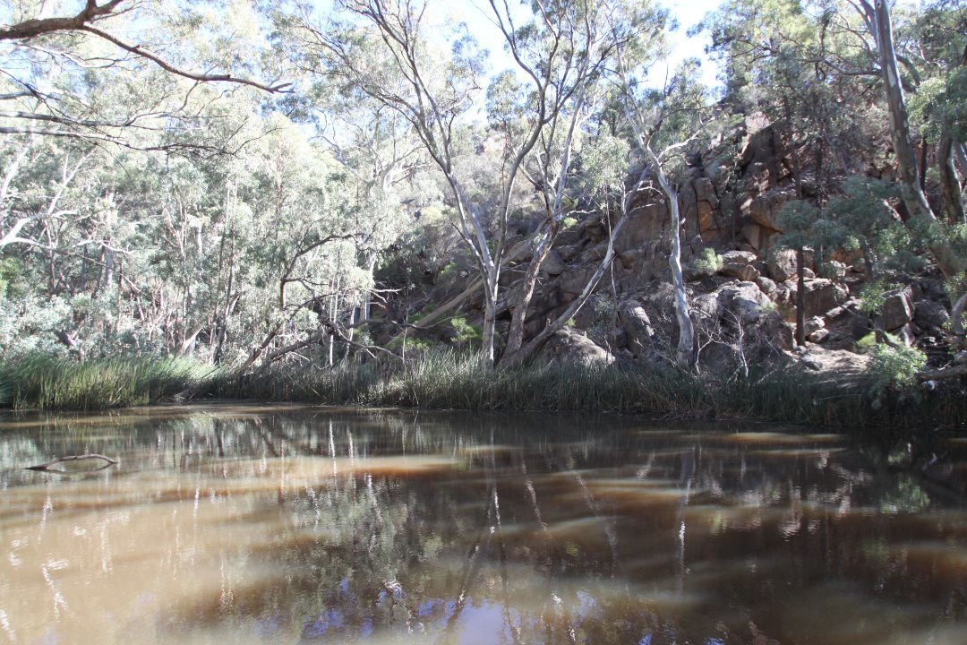 5 treasures in Ikara-Flinders Ranges National Park