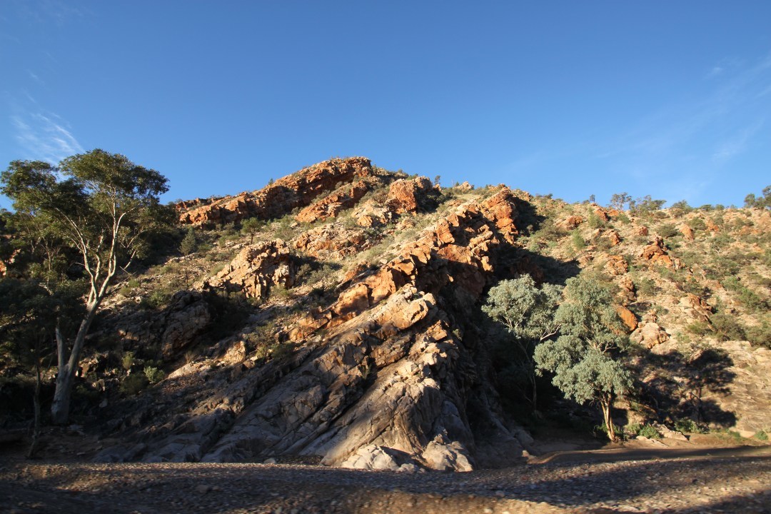 5 treasures in Ikara-Flinders Ranges National Park