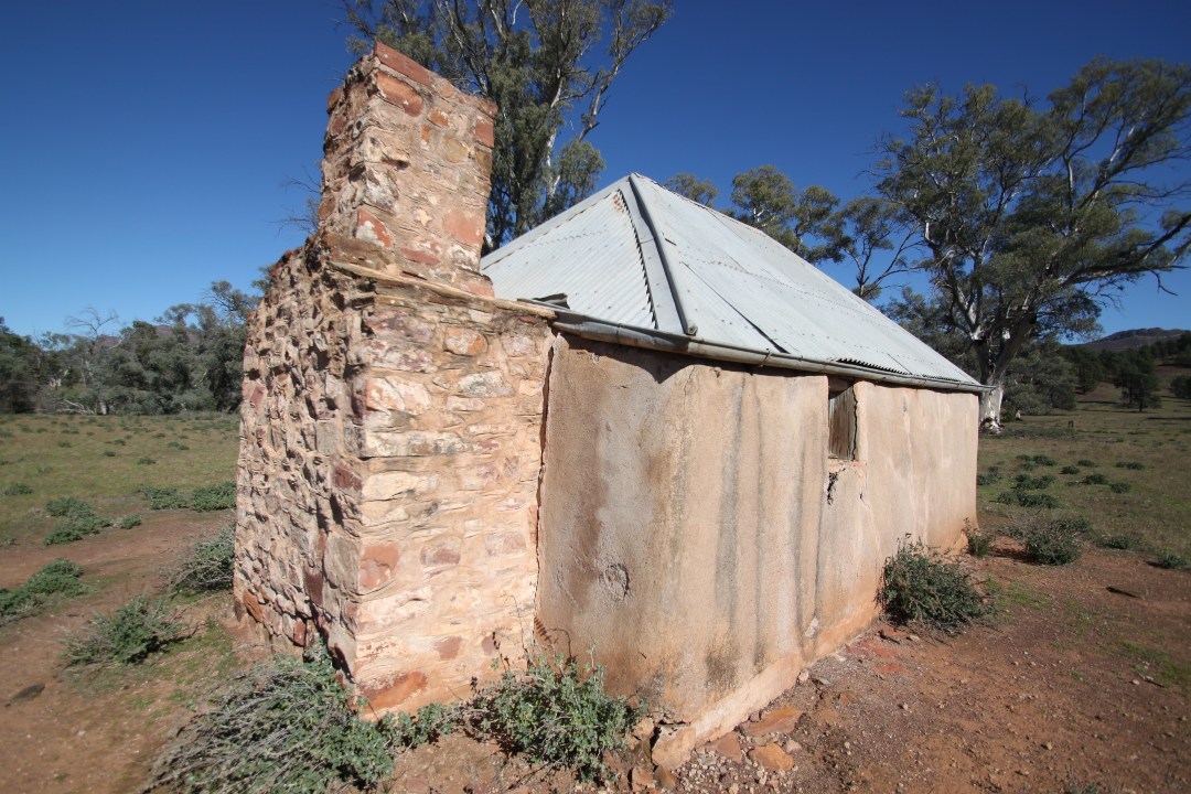 5 treasures in Ikara-Flinders Ranges National Park