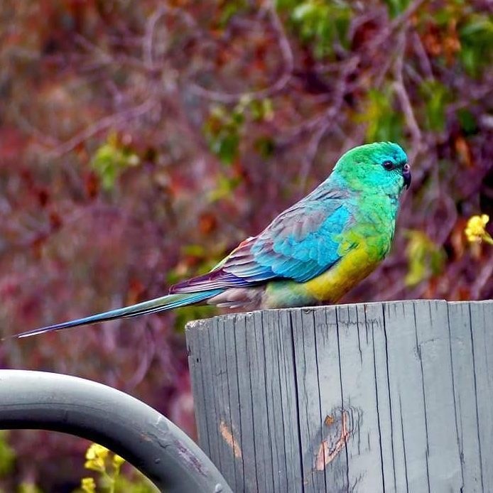 5 treasures in Cobbler Creek Recreation Park