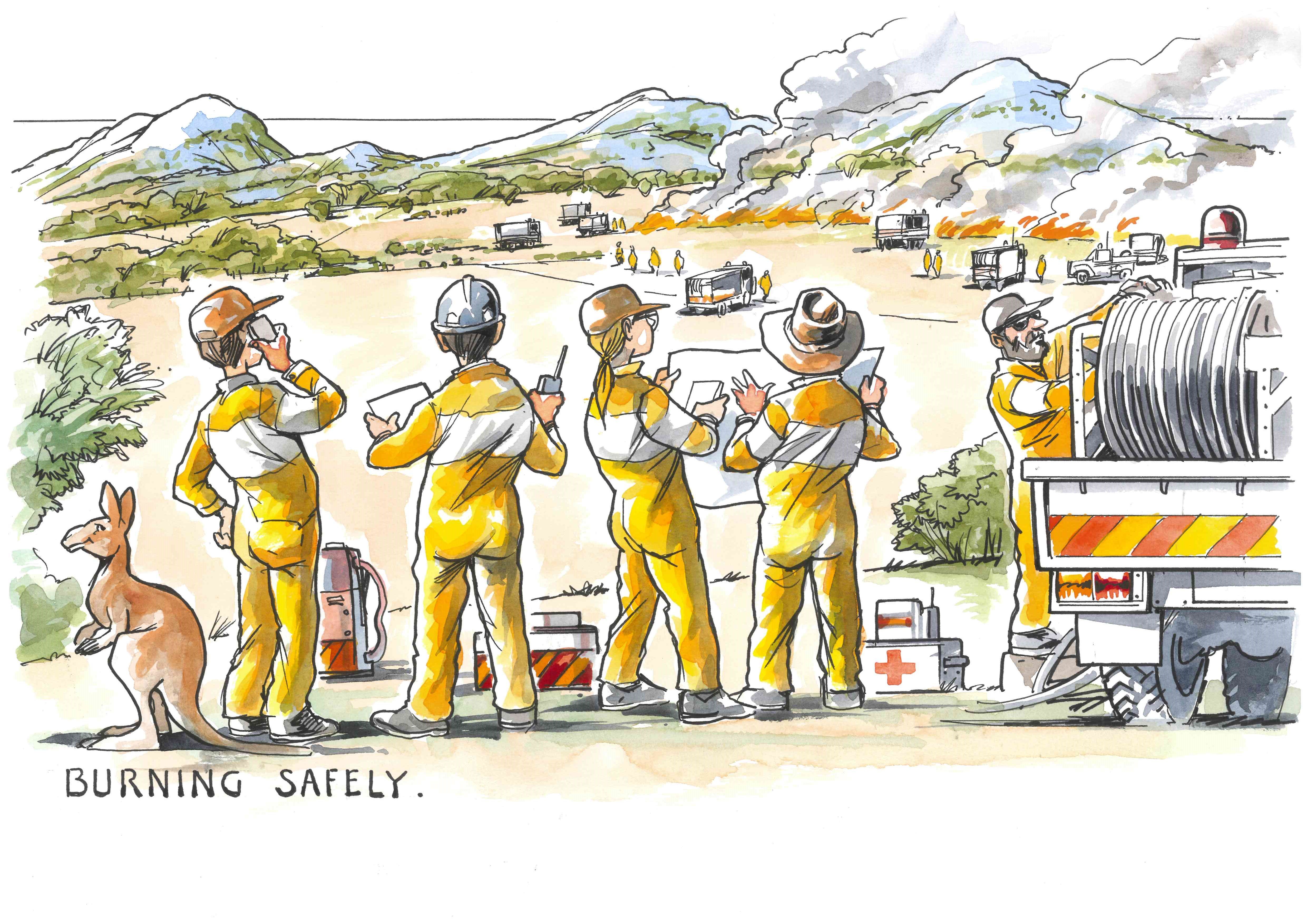 6 stages of prescribed burning