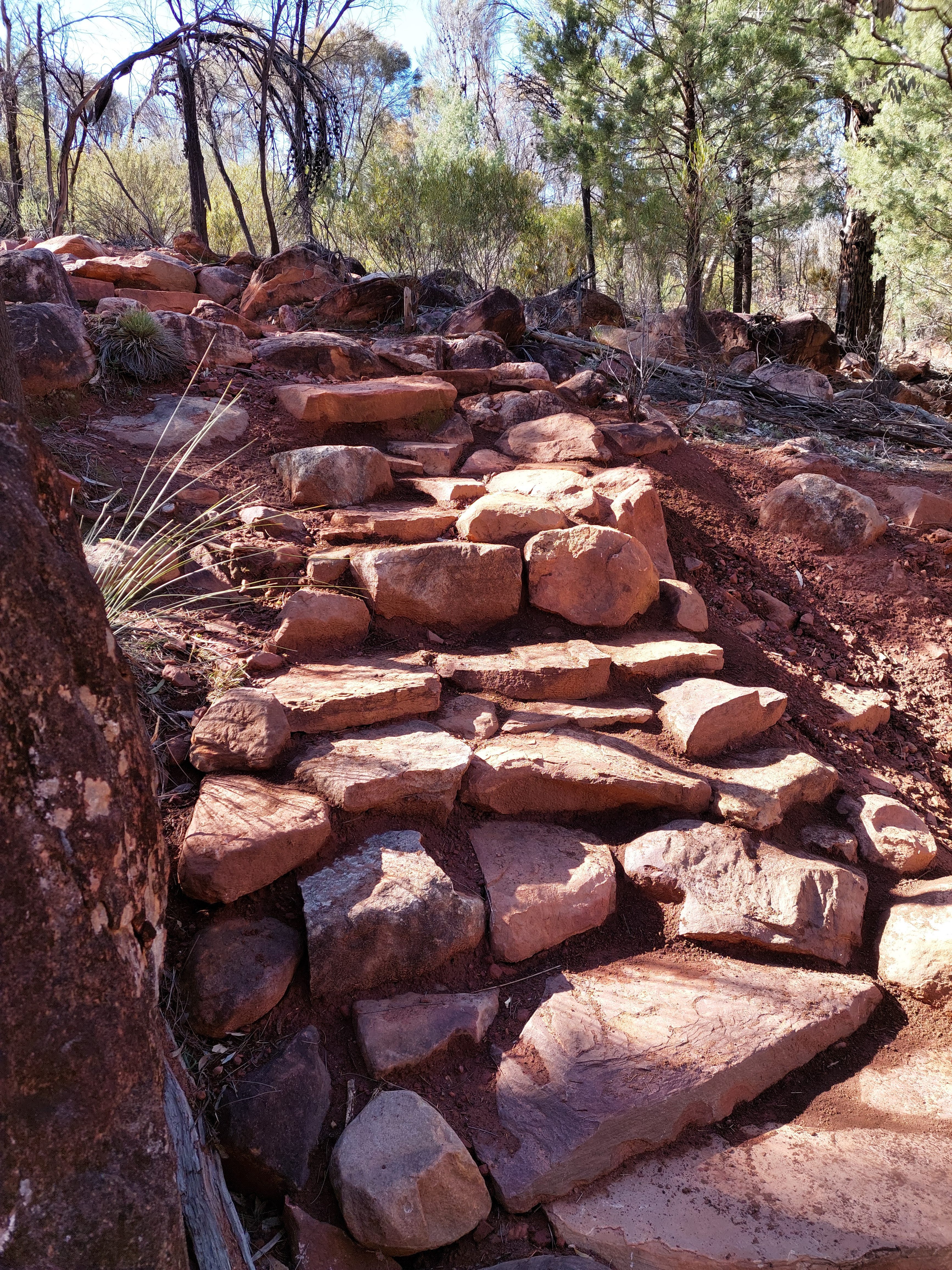 Welcome back to Arkaroo Rock, an ancient treasure in the Flinders Ranges