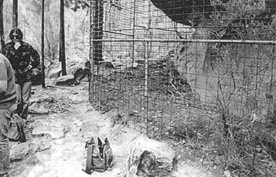Welcome back to Arkaroo Rock, an ancient treasure in the Flinders Ranges