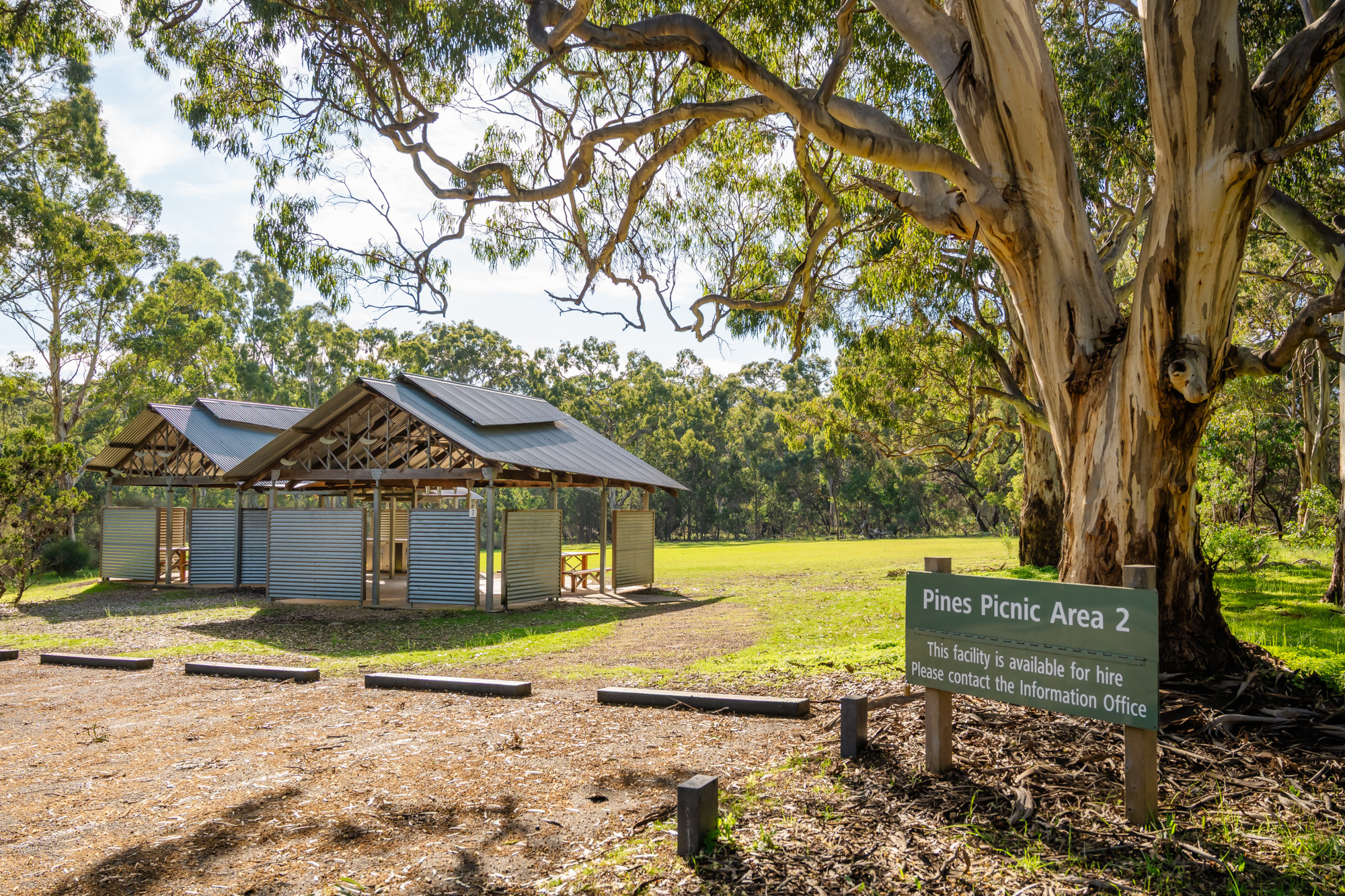 Pines Picnic Area 2