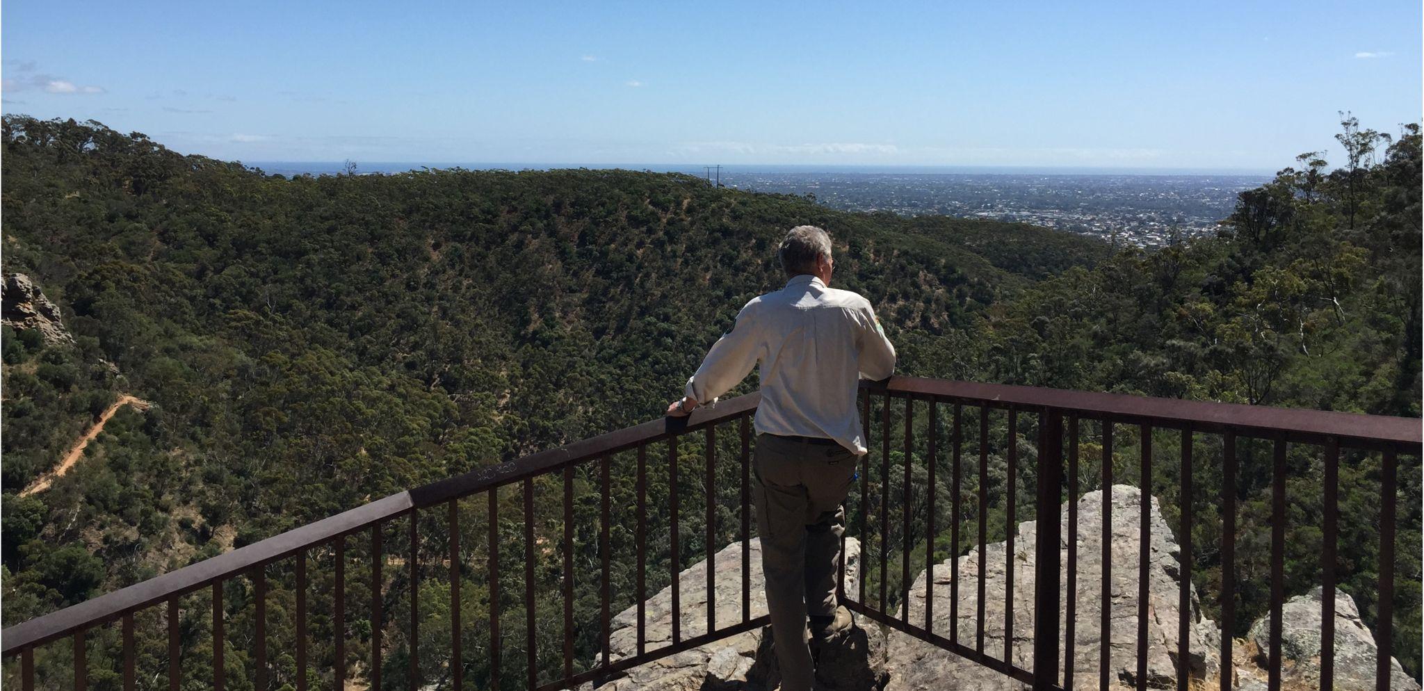 Friends' Tips: 5 Hidden treasures of Morialta and Black Hill Conservation Park