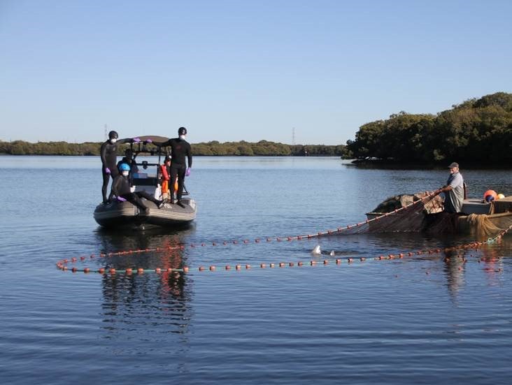 20 facts for 20 years of the Adelaide Dolphin Sanctuary