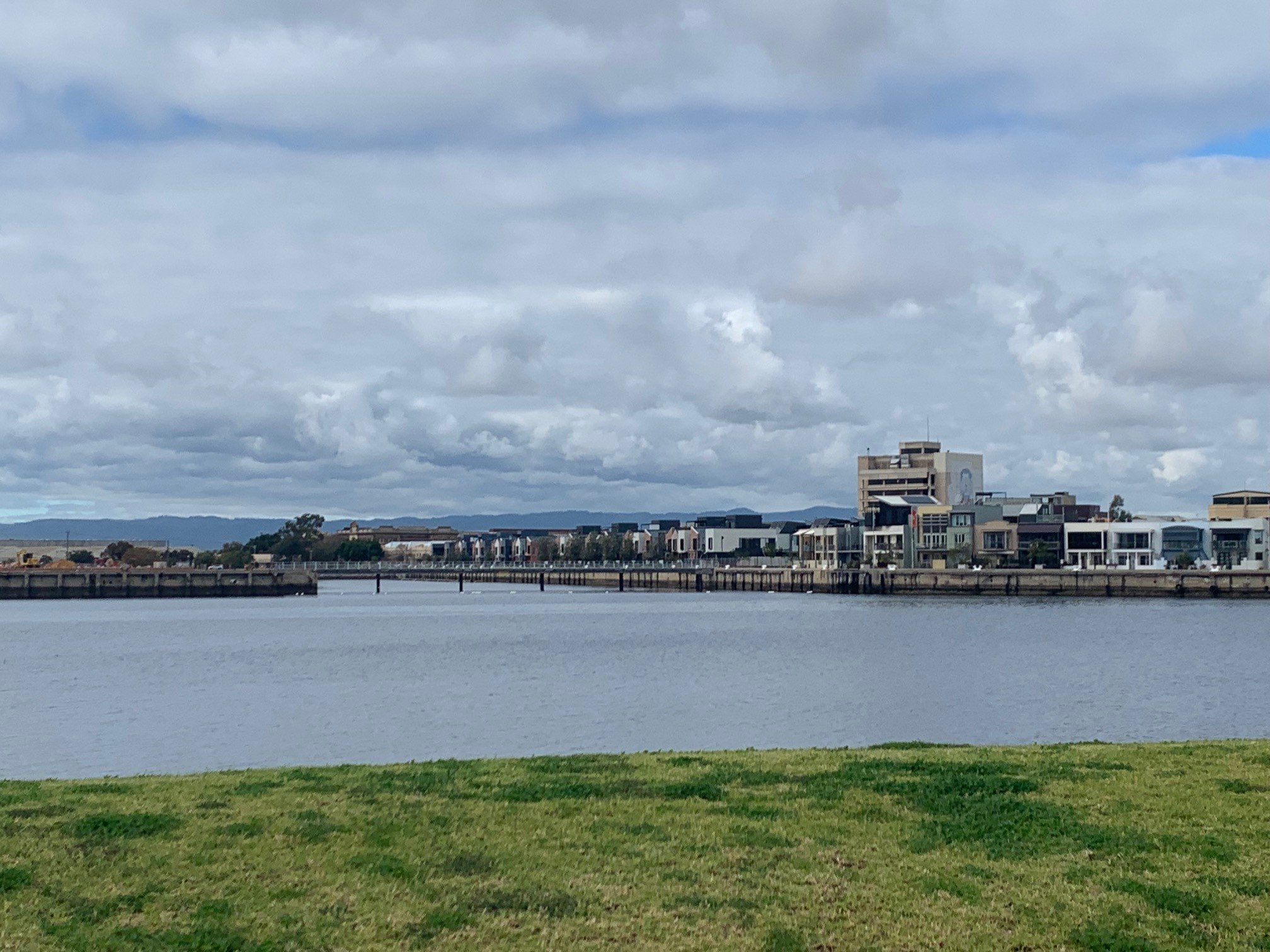Dolphins frequent the Port dock area where large developments of waterfront housing are underway
