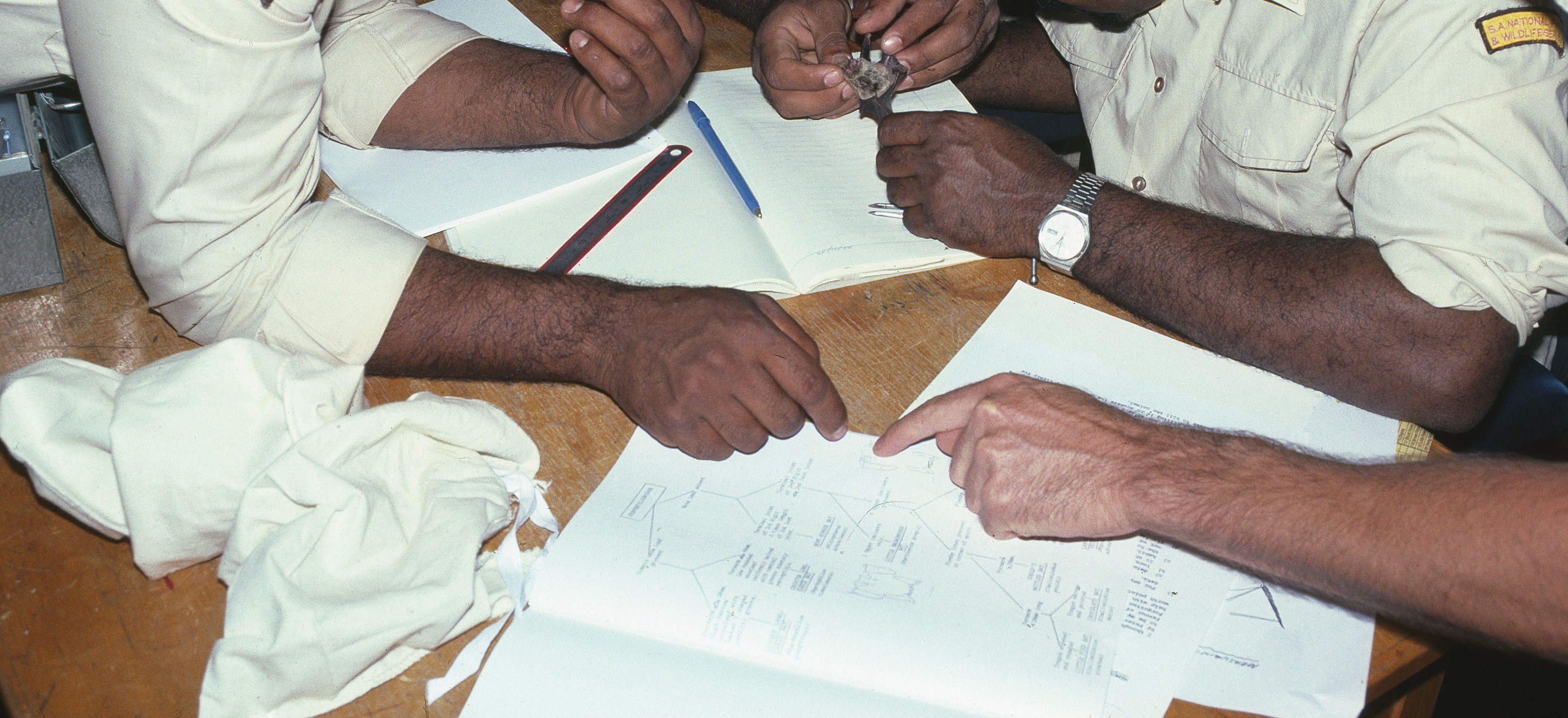A Reconciliation journey: The history of First Nations park rangers in South Australia