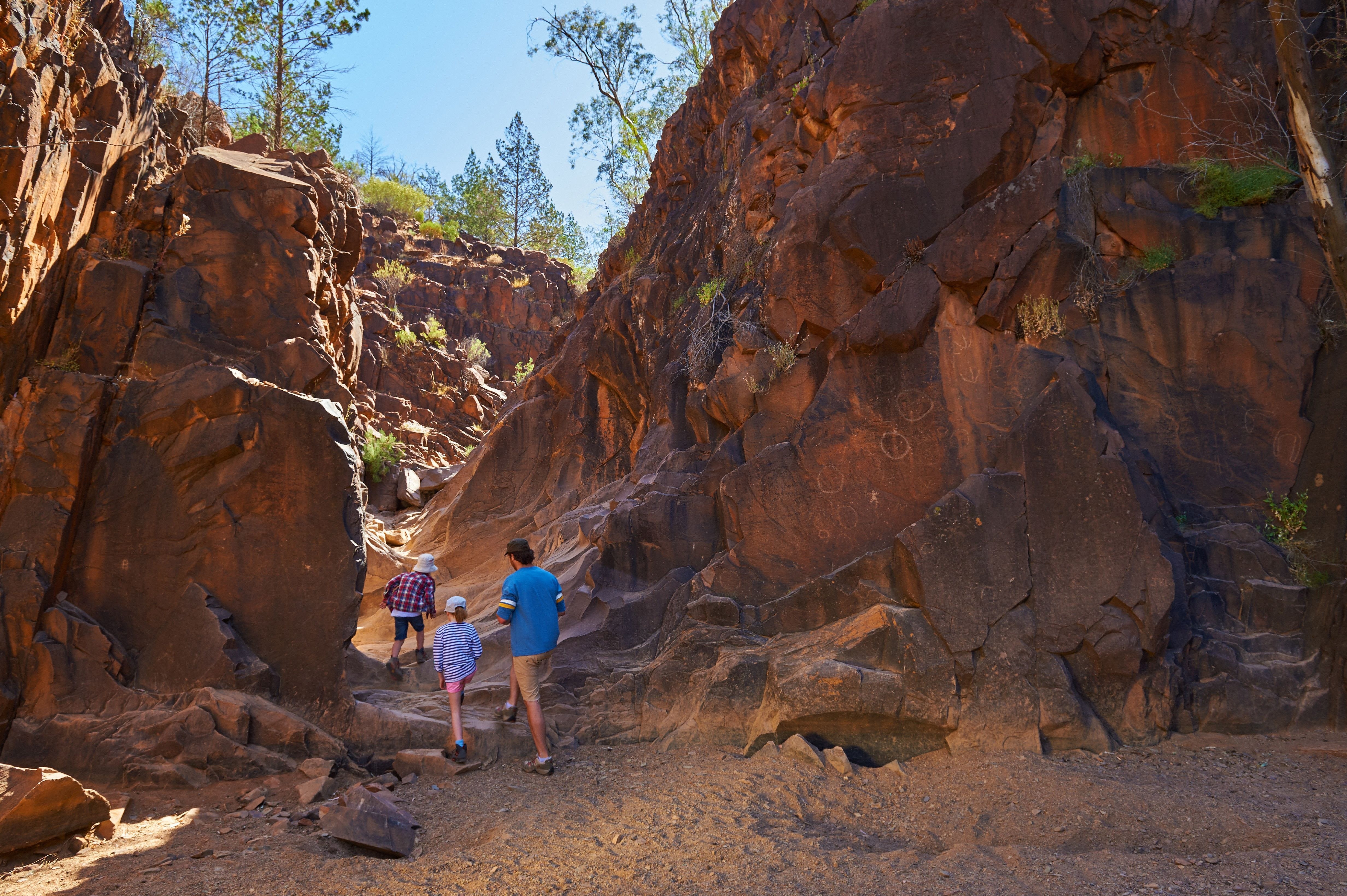 View ancient rock engravings at Sacred Canyon, Ikara-Flinders Ranges. Image: South Australian Tourism Commission