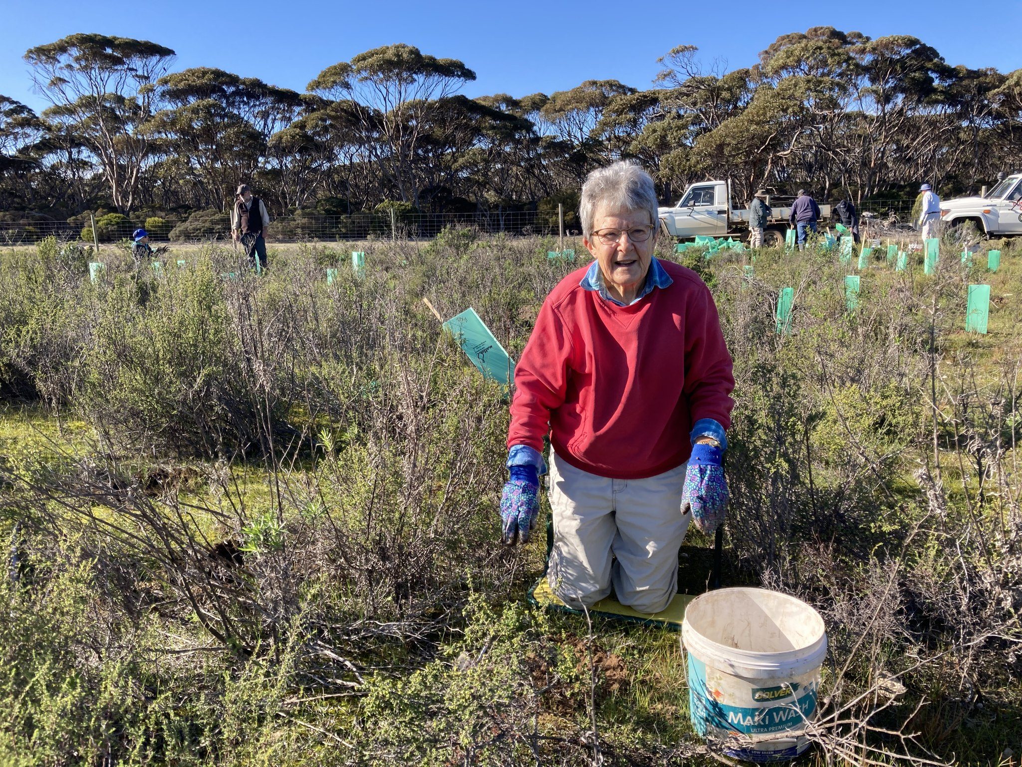 Tree planting with Friends of Southern Eyre Peninsula Parks