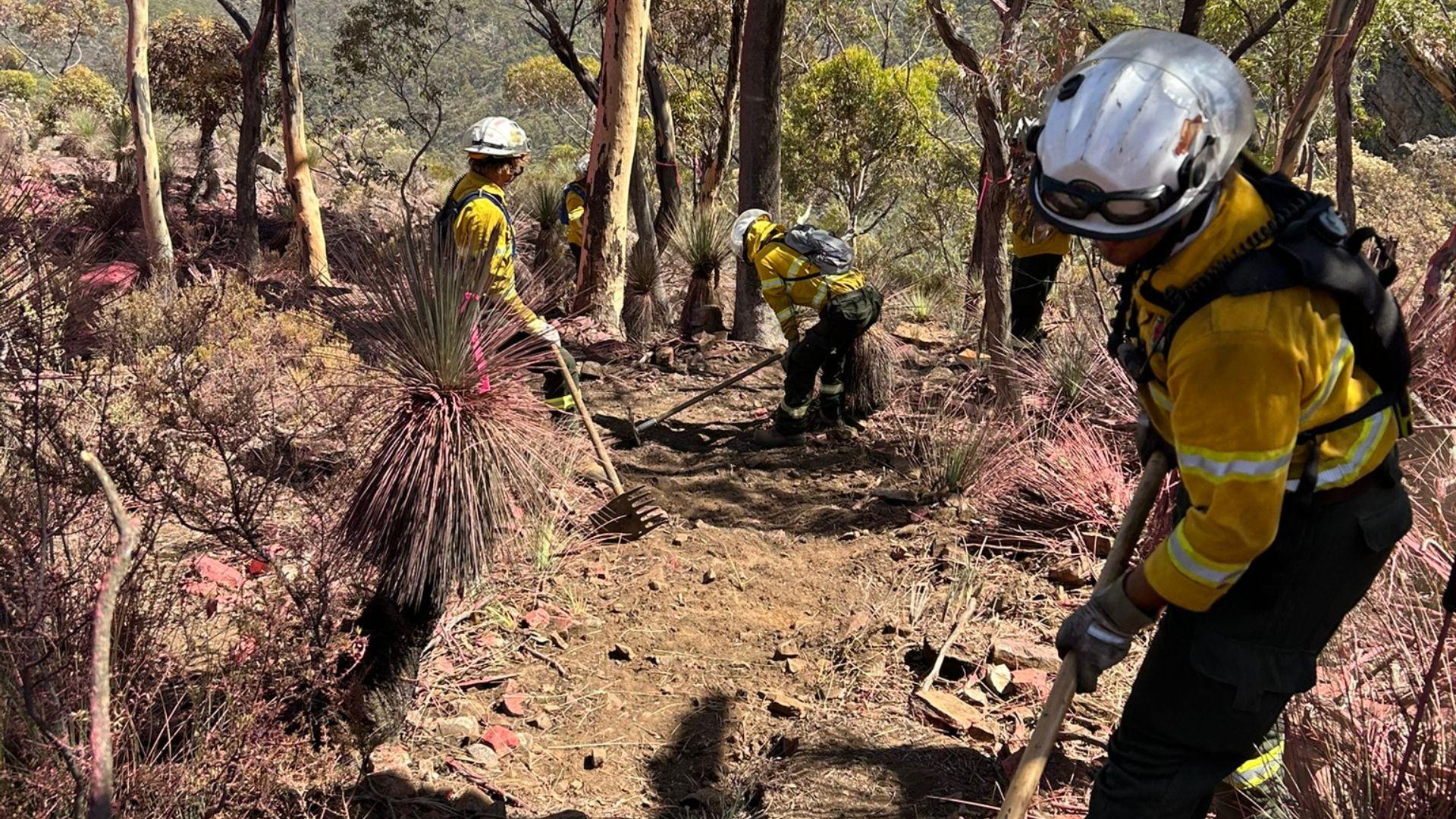 NPWS fire crews putting in a rake hoe line ahead of backburning