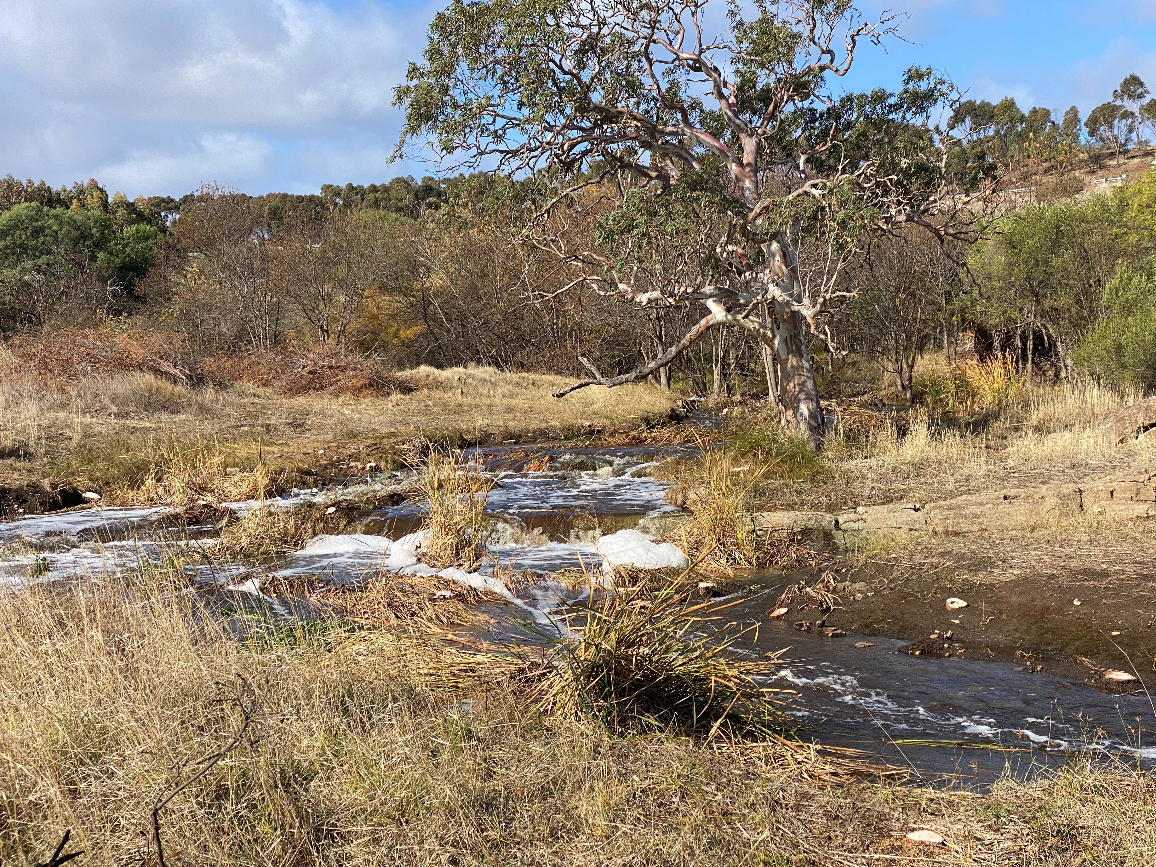 Welcome to Kauwi-marnirla-Field River, Adelaide's newest conservation park