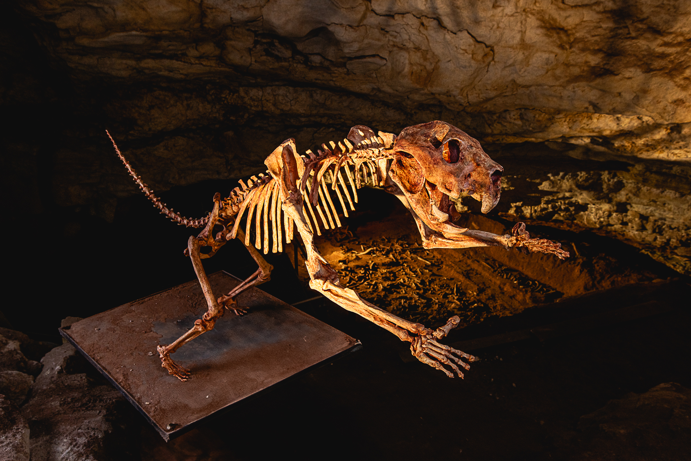 Victoria Fossil Cave