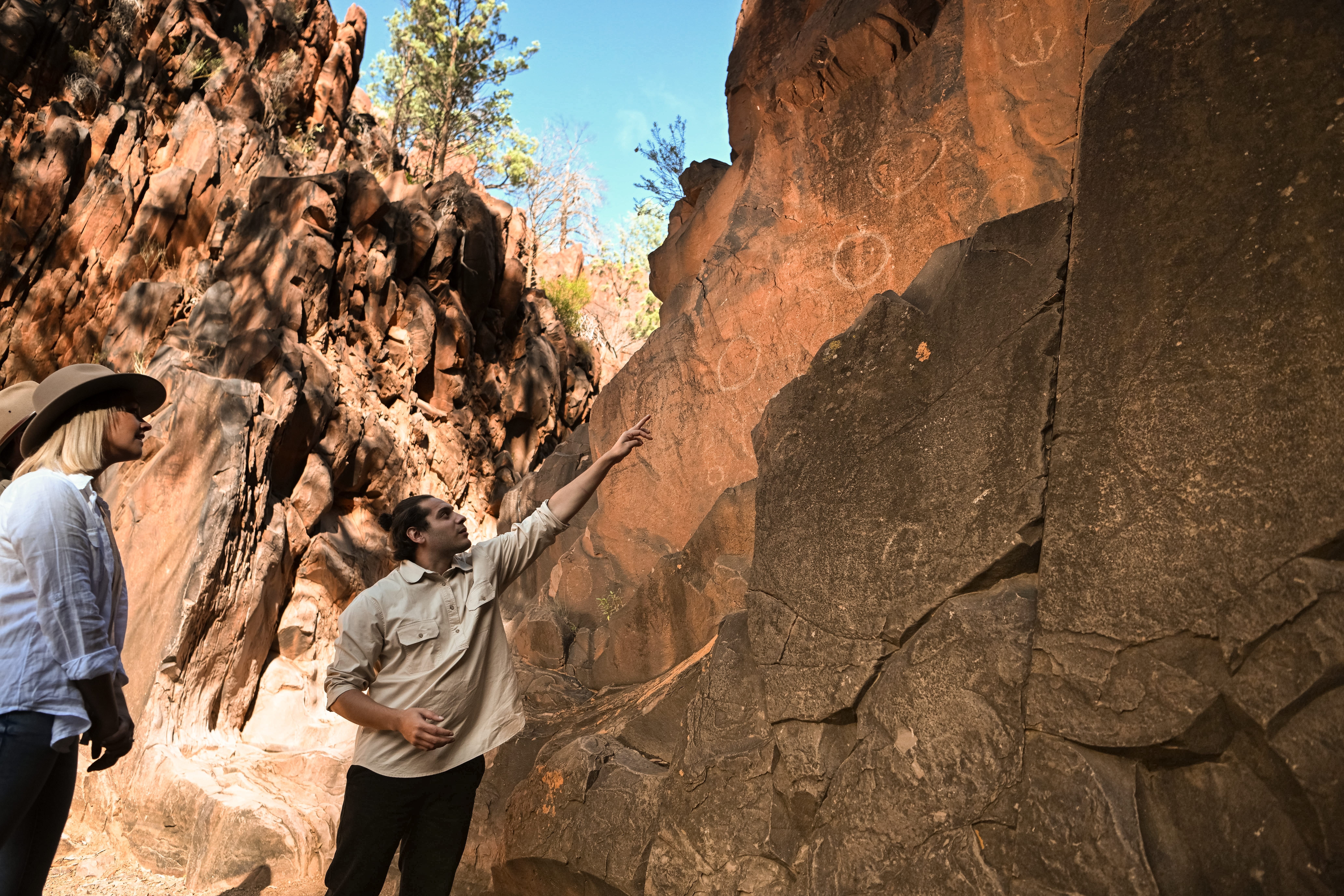 5 treasures in Ikara-Flinders Ranges National Park