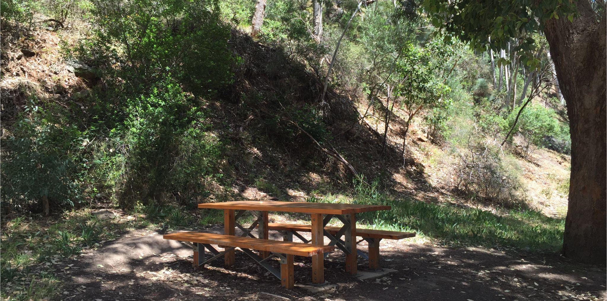 Friends' Tips: 5 Hidden treasures of Morialta and Black Hill Conservation Park