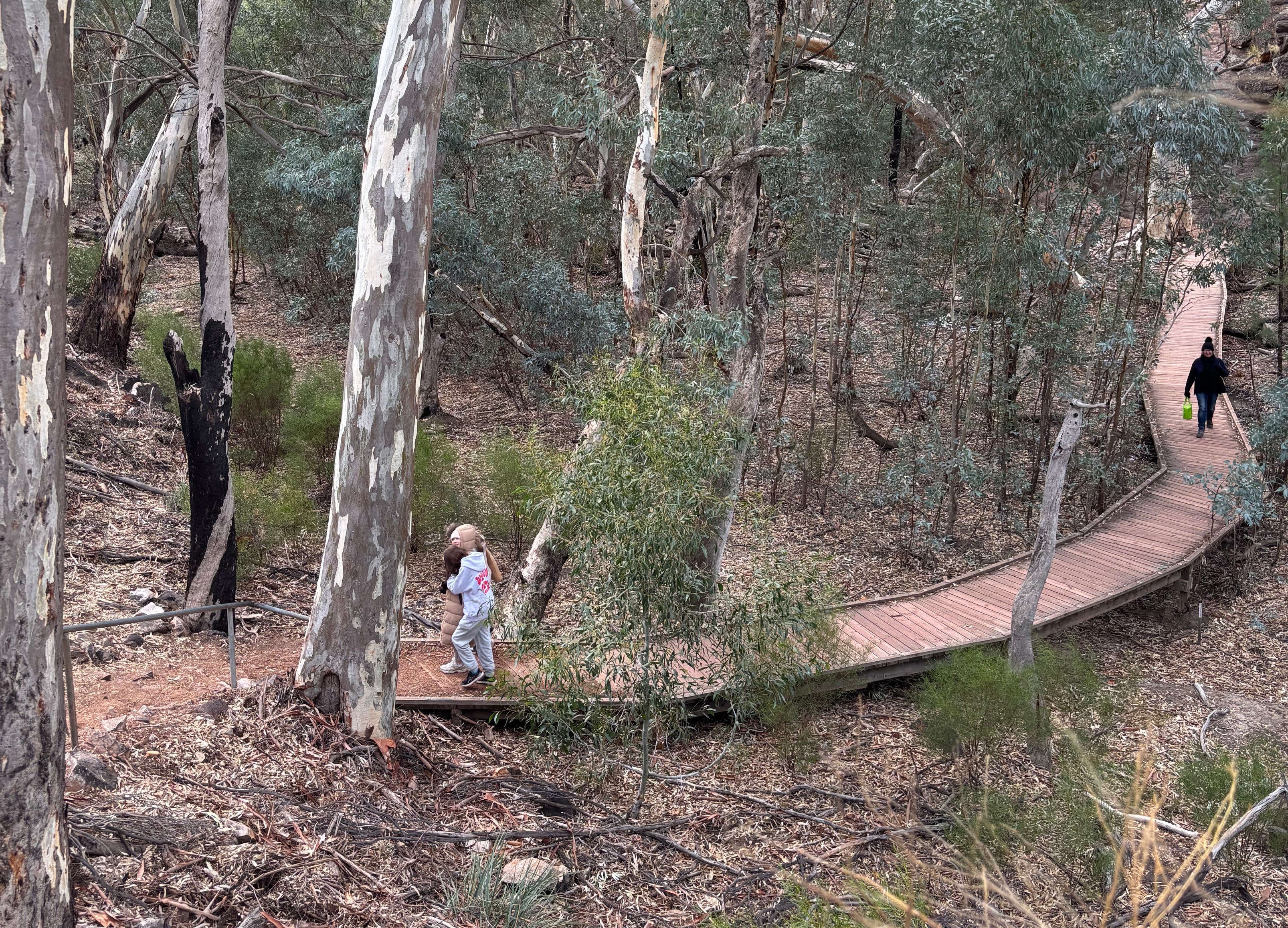 Framed by nature - the walk from Wilpena Visitor Centre to Hills Homestead.