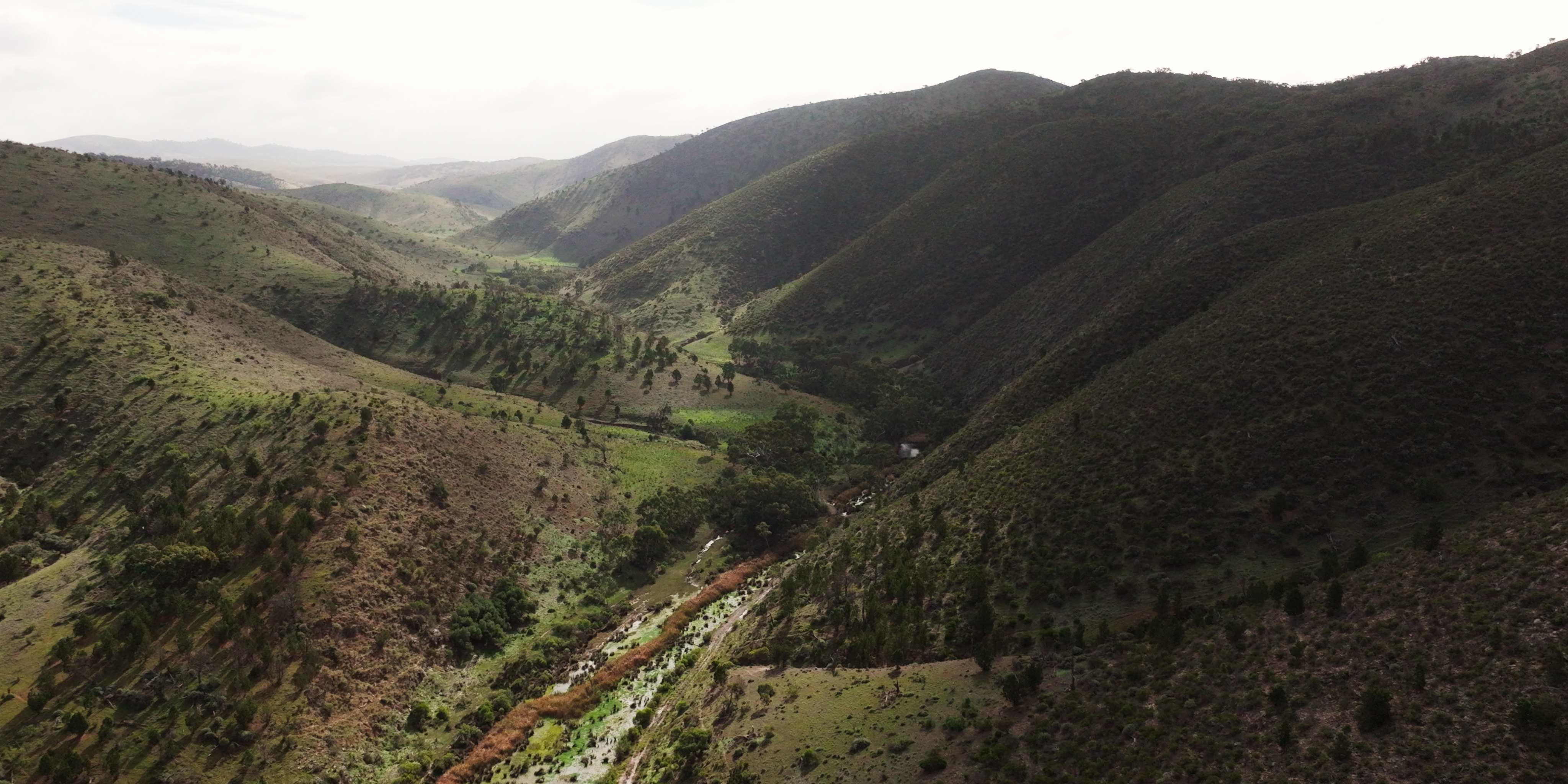 Worlds End Gorge contains well-preserved natural habitat of significant environmental value