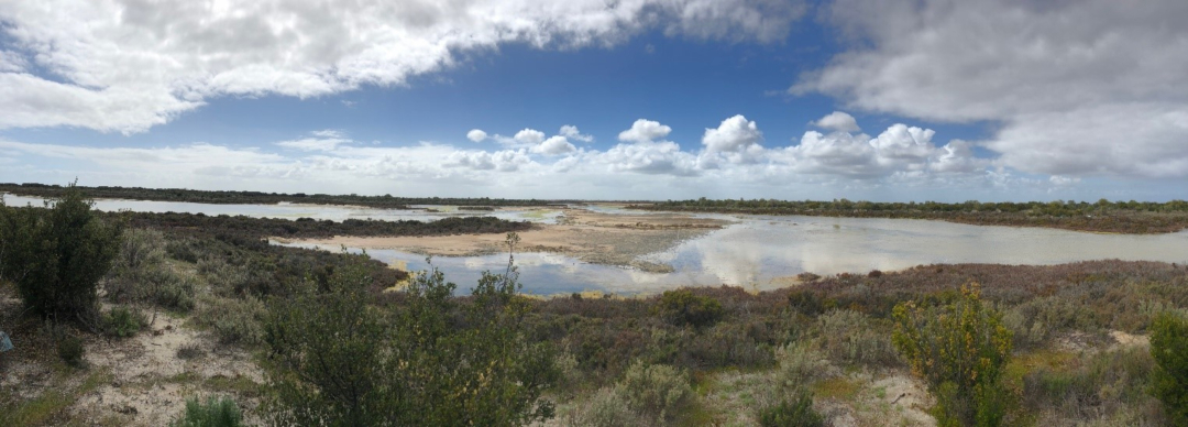 Ranger tips: Adelaide International Bird Sanctuary and Adelaide Dolphin Sanctuary