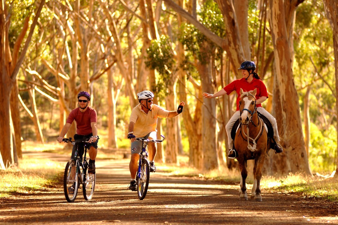 Have your say about the future of South Australia’s oldest national park