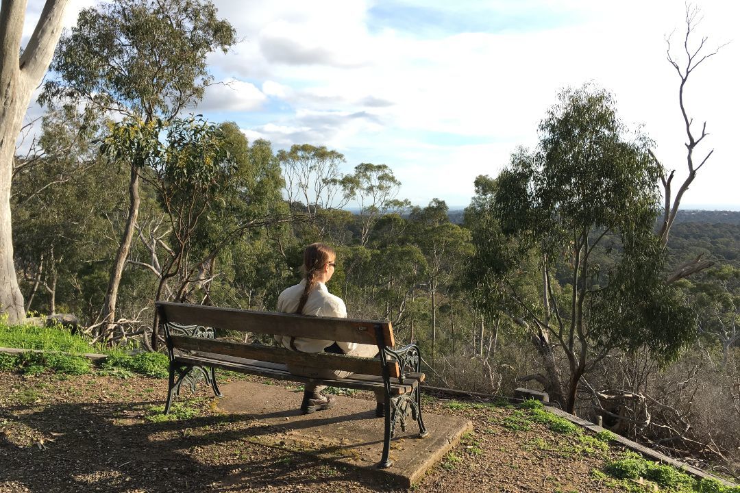 How to spend a day in Belair National Park