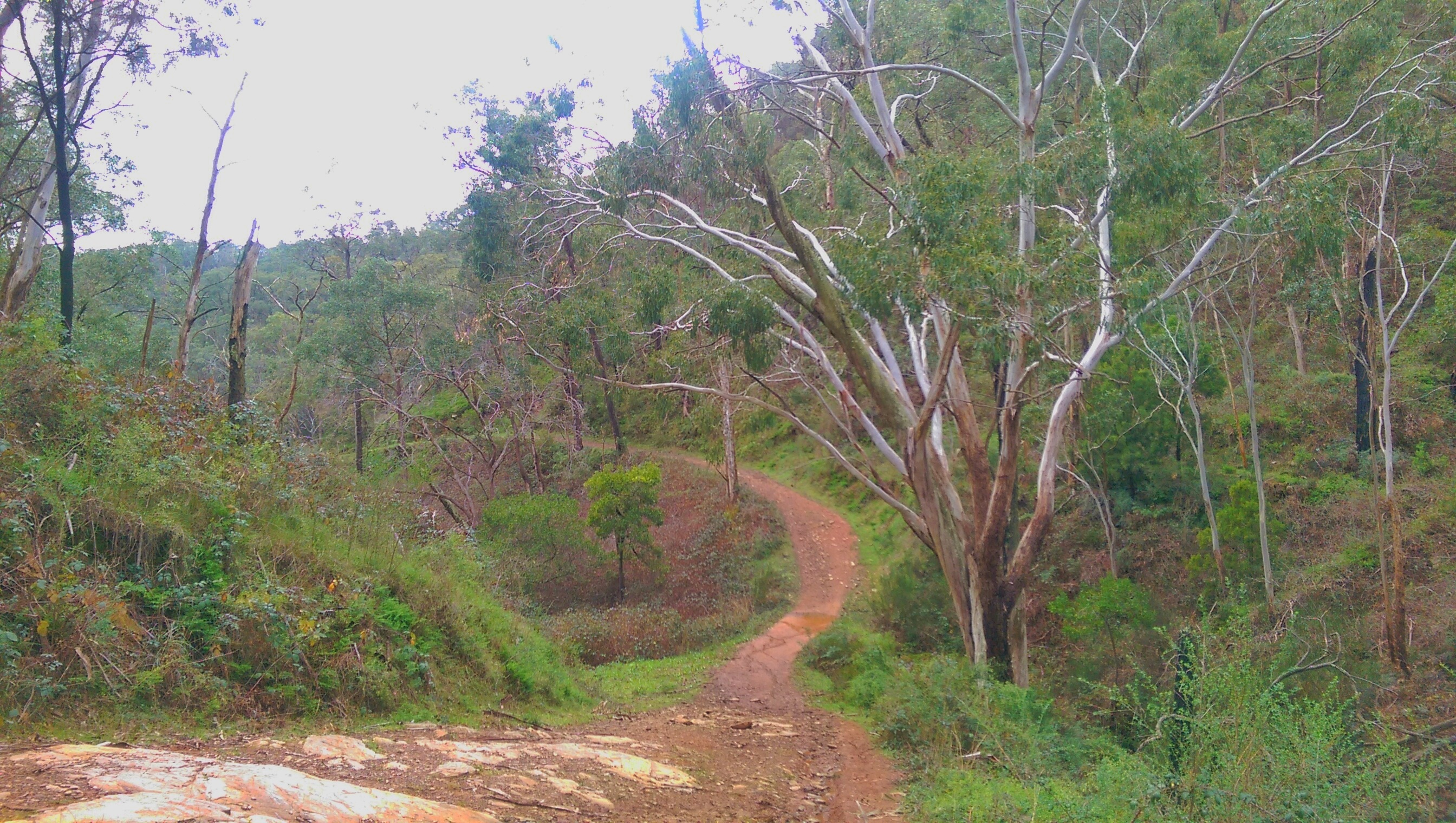 Know before you go: mountain-biking