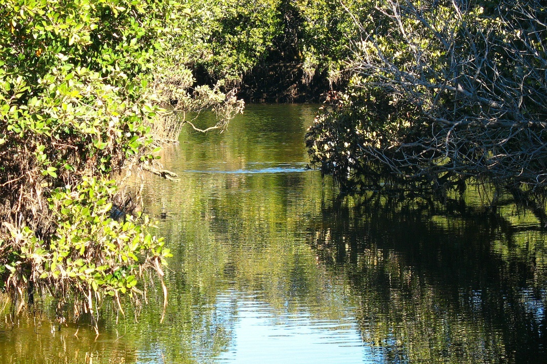 5 spots to birdwatch at Adelaide’s bird sanctuary