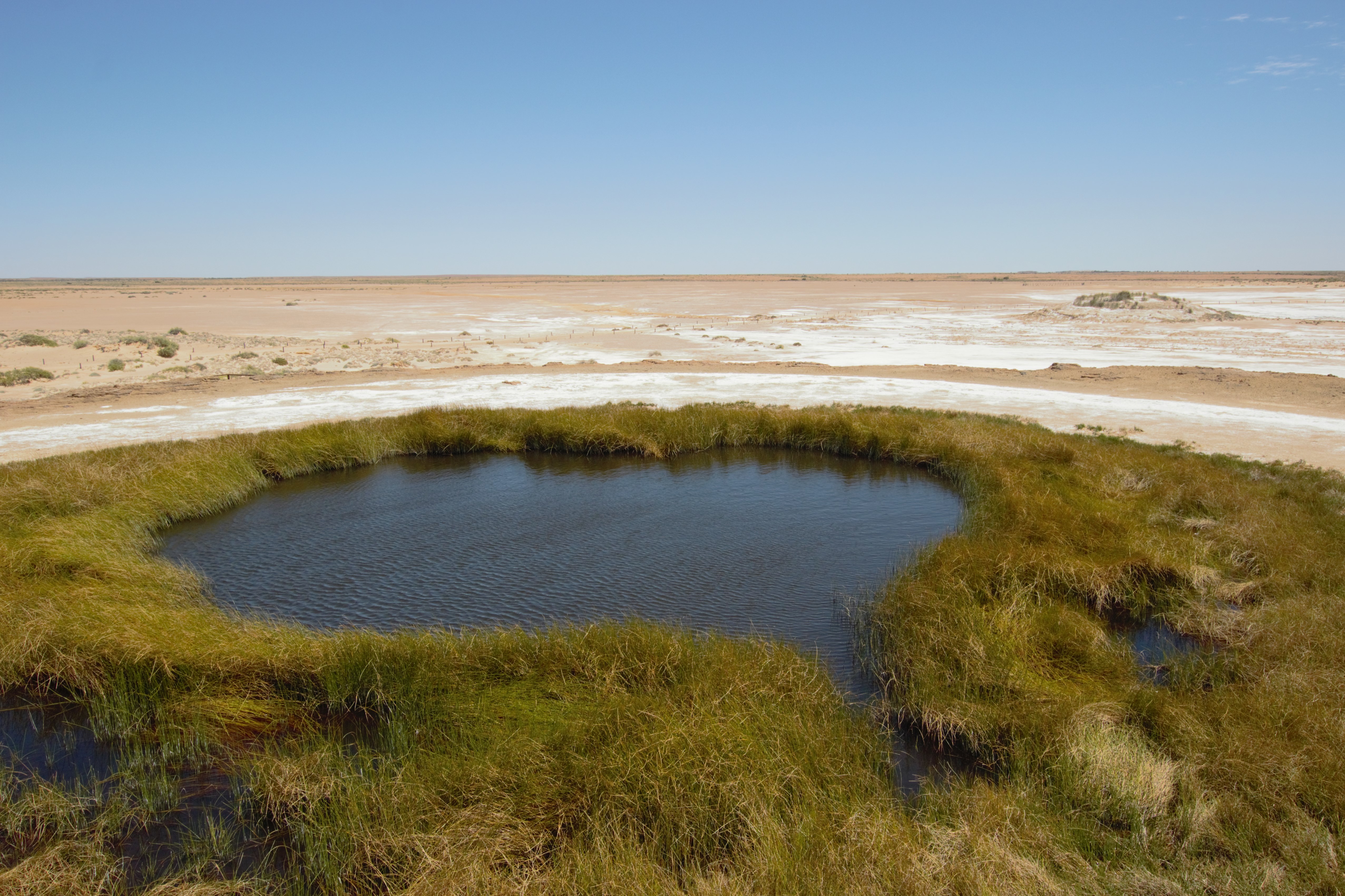 Your guide to visiting mound springs in South Australia’s desert parks