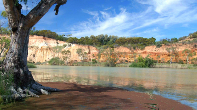 5 treasures in Murray River National Park