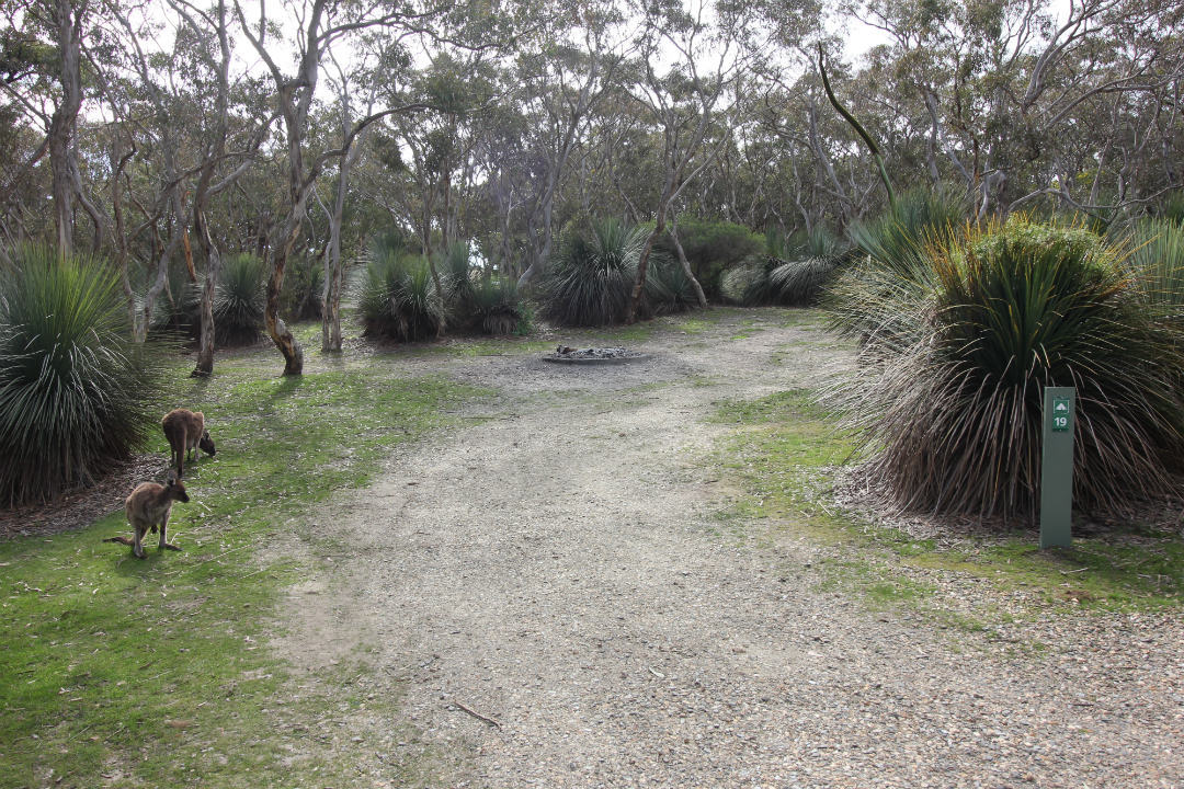 Campsite 19 at Trig Campground, Deep Creek National Park