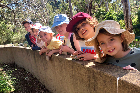 How to spend a day in South Australia’s Cleland Wildlife Park