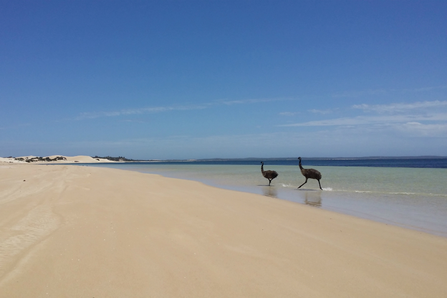 Your guide to South Australia’s coolest parks for camping in summer