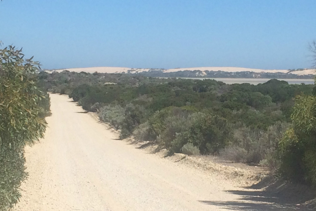 Loop Road, Coorong National Park