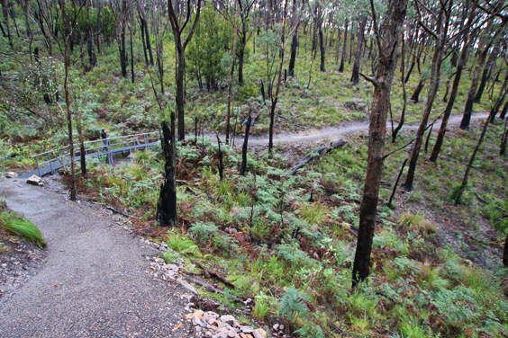 5 treasures in South Australia's Cleland National Park