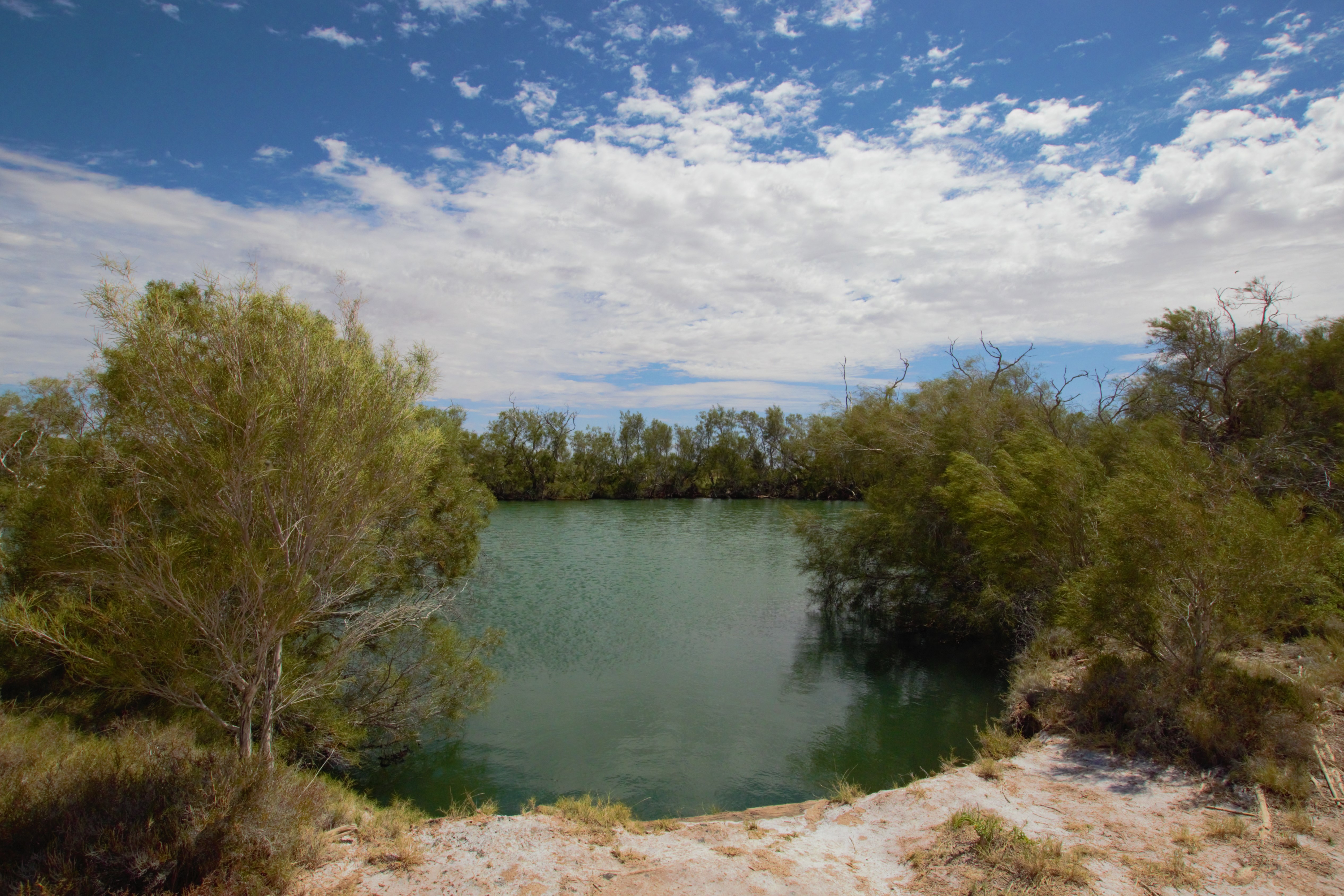 Your guide to visiting mound springs in South Australia’s desert parks