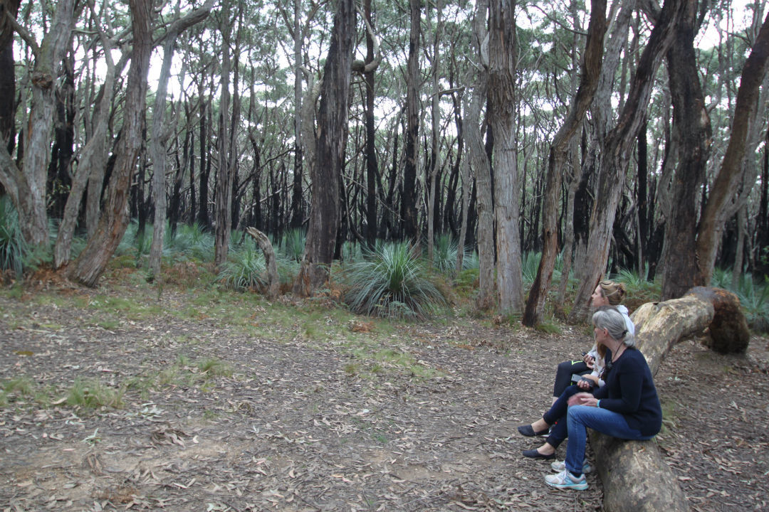 How to spend a day in South Australia’s Deep Creek National Park