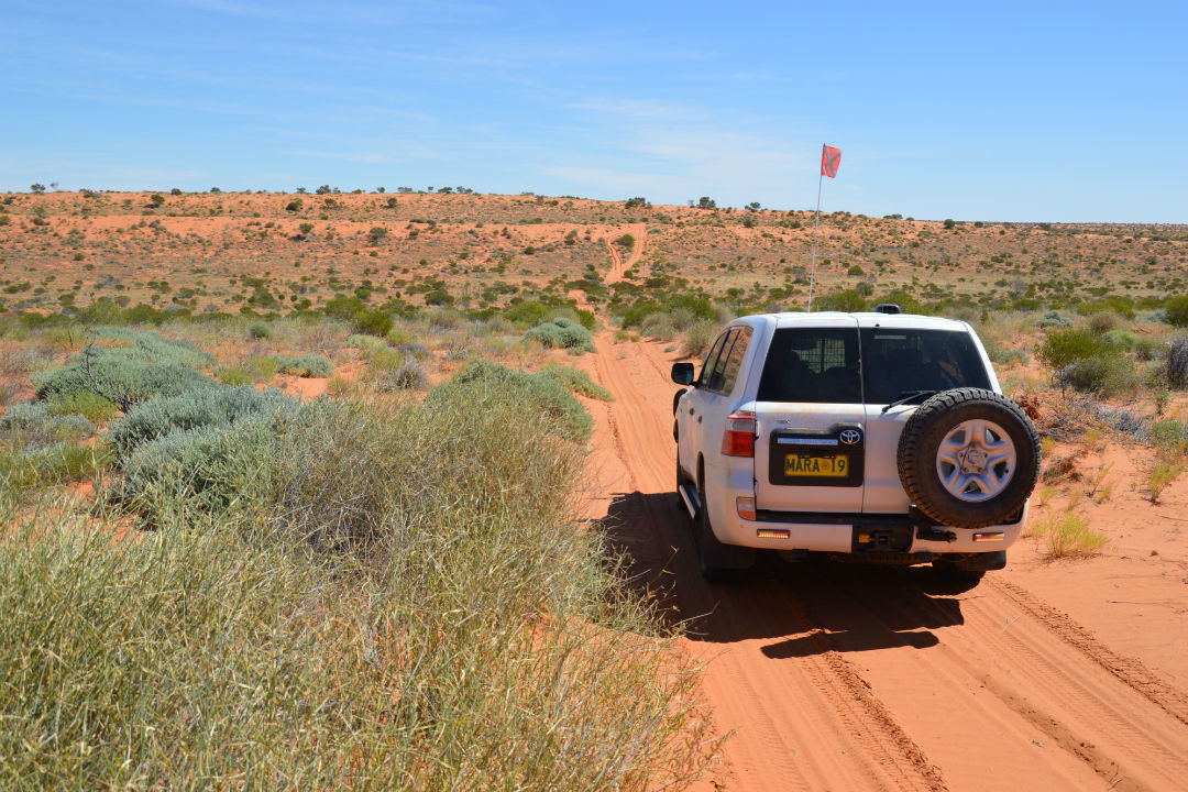 Tips for your next outback adventure in desert parks