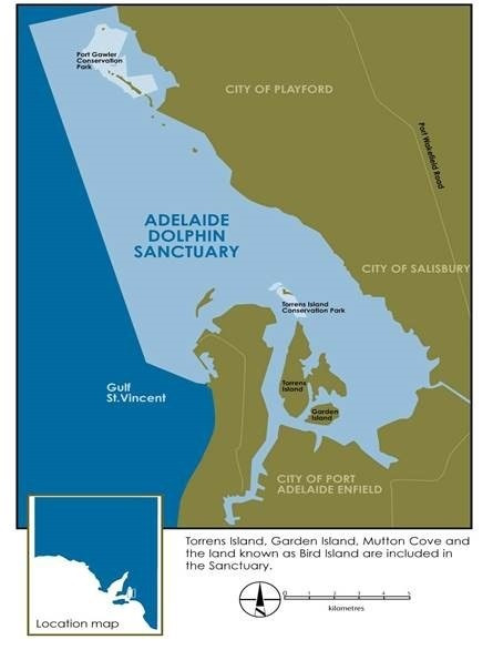 The Adelaide Dolphin Sanctuary is a 20-minute drive from Adelaide.