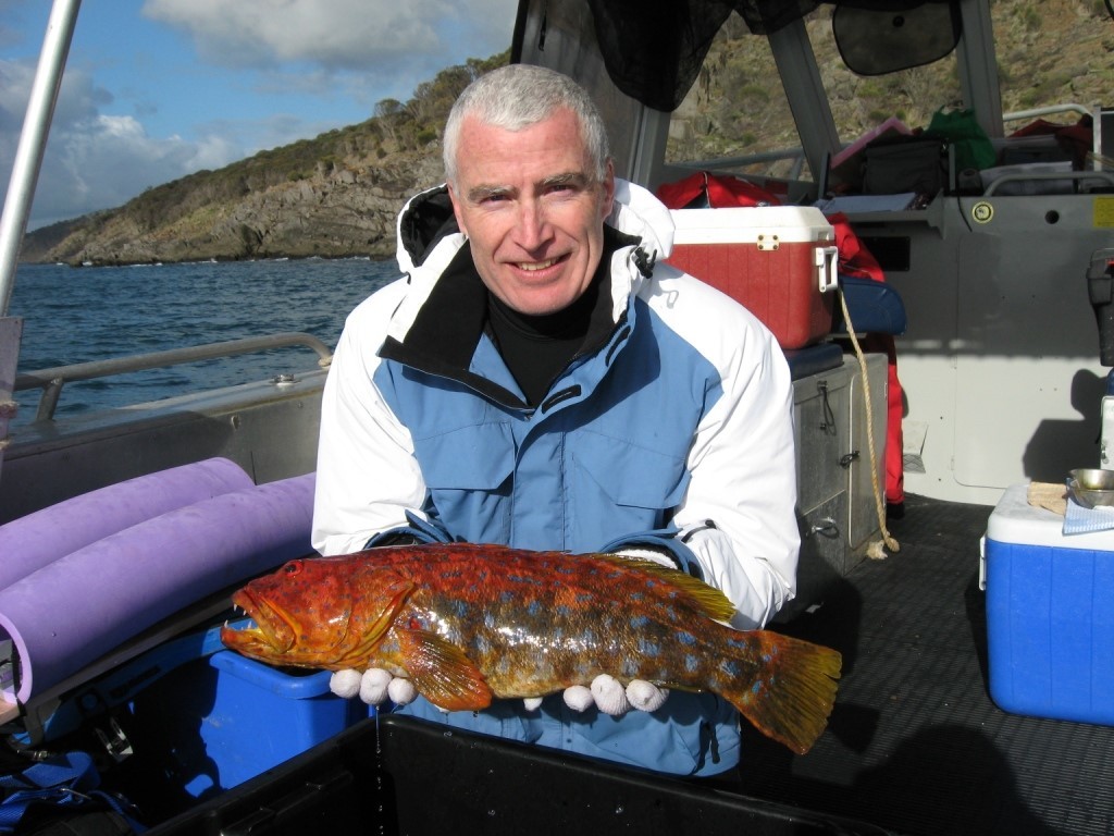 5 reef fish you’ll find in South Australia