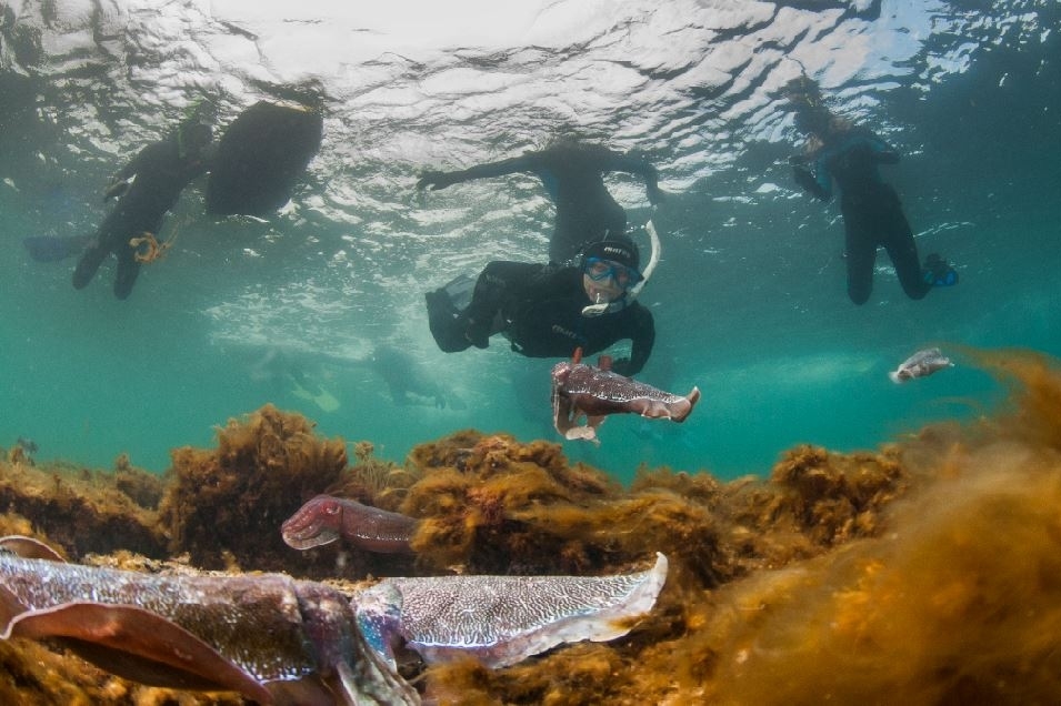 How to have an epic road trip to four of Eyre Peninsula’s national parks