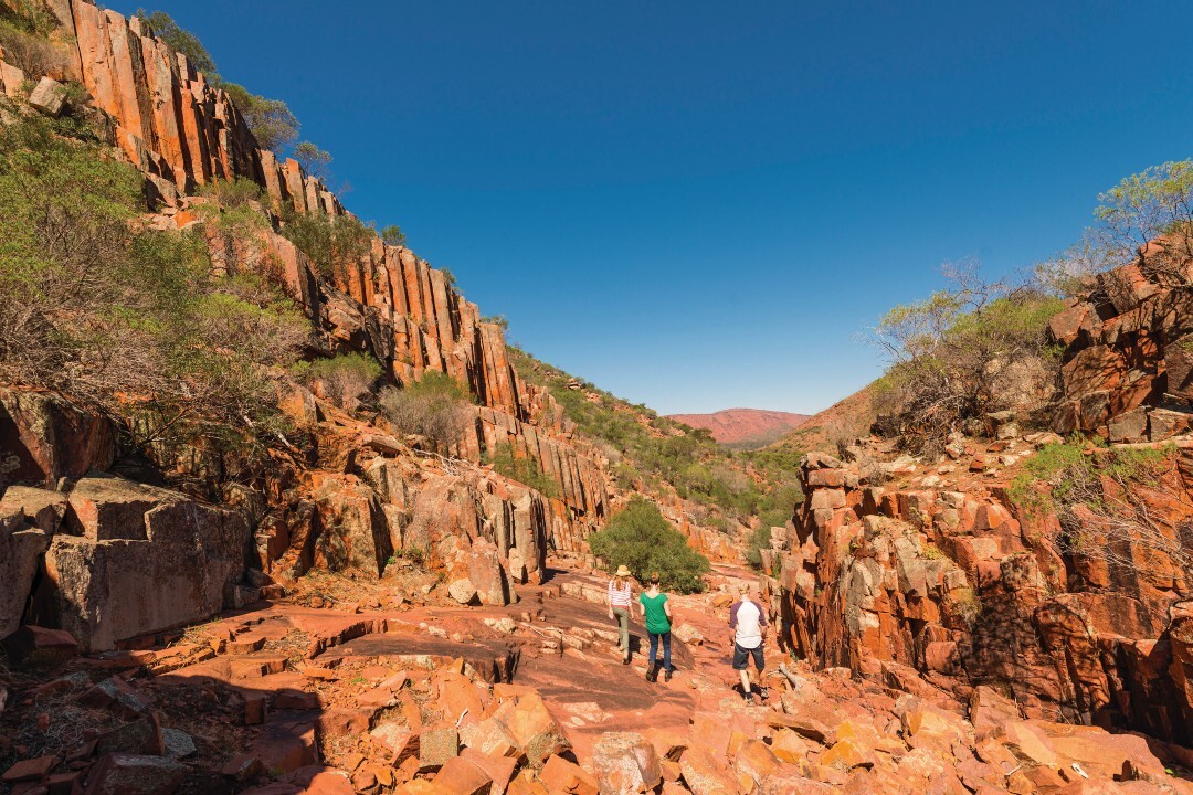 How to have an epic road trip to four of Eyre Peninsula’s national parks