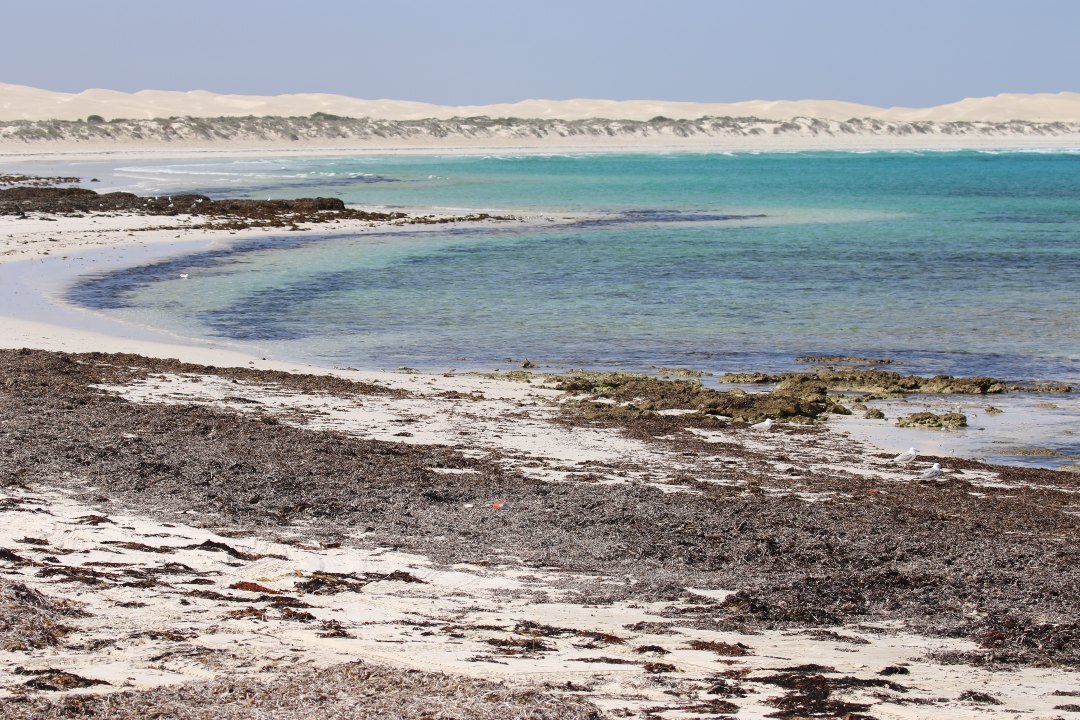 How to have an epic road trip to four of Eyre Peninsula’s national parks