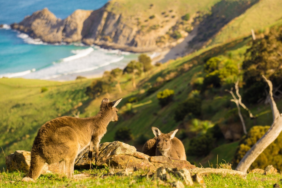 5 national parks to visit on South Australia’s Fleurieu Peninsula