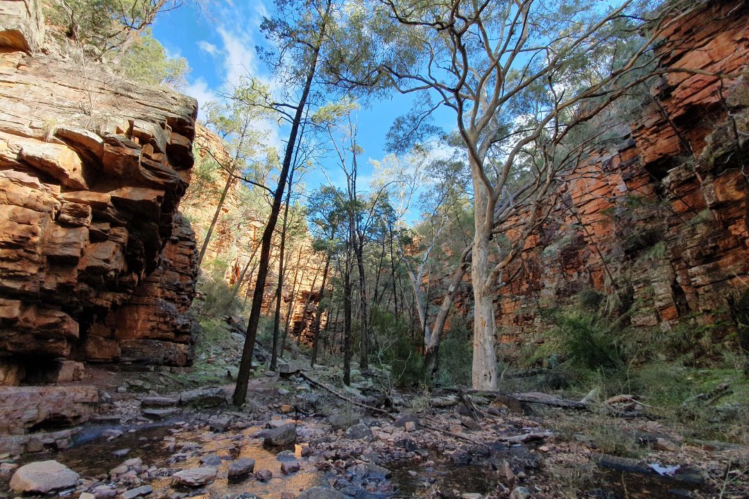 6 national parks to visit in South Australia’s Flinders Ranges