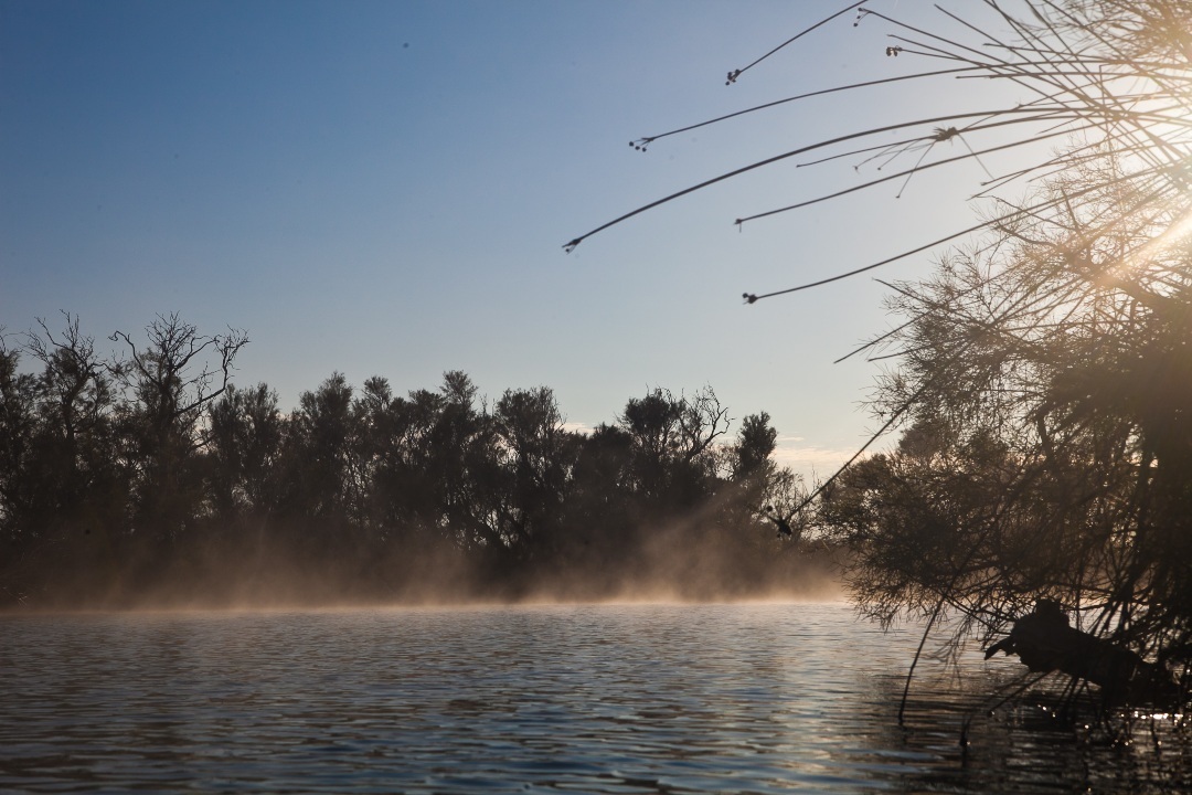 6 national parks to visit in South Australia’s Flinders Ranges