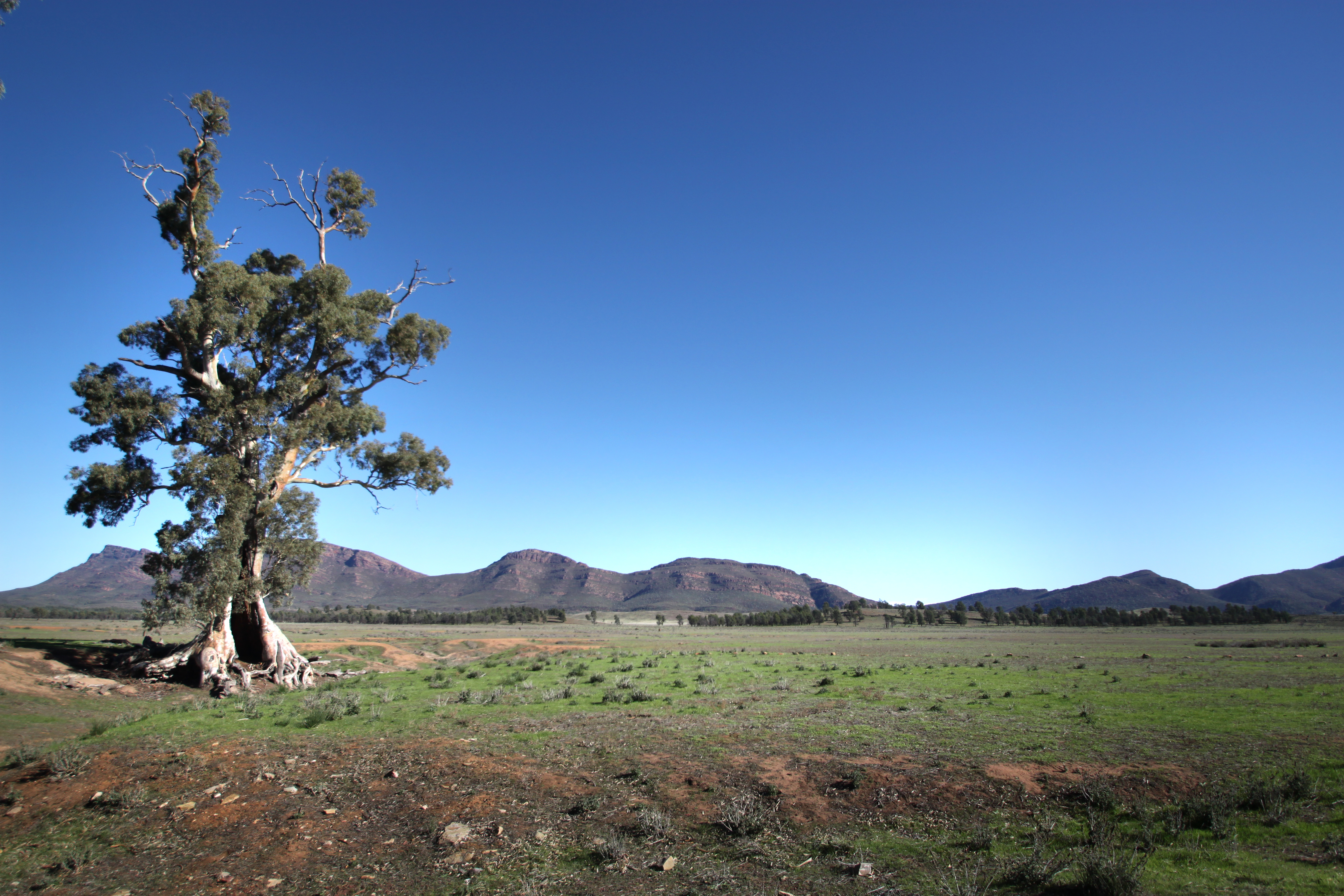 5 perfect national parks for a winter escape in South Australia